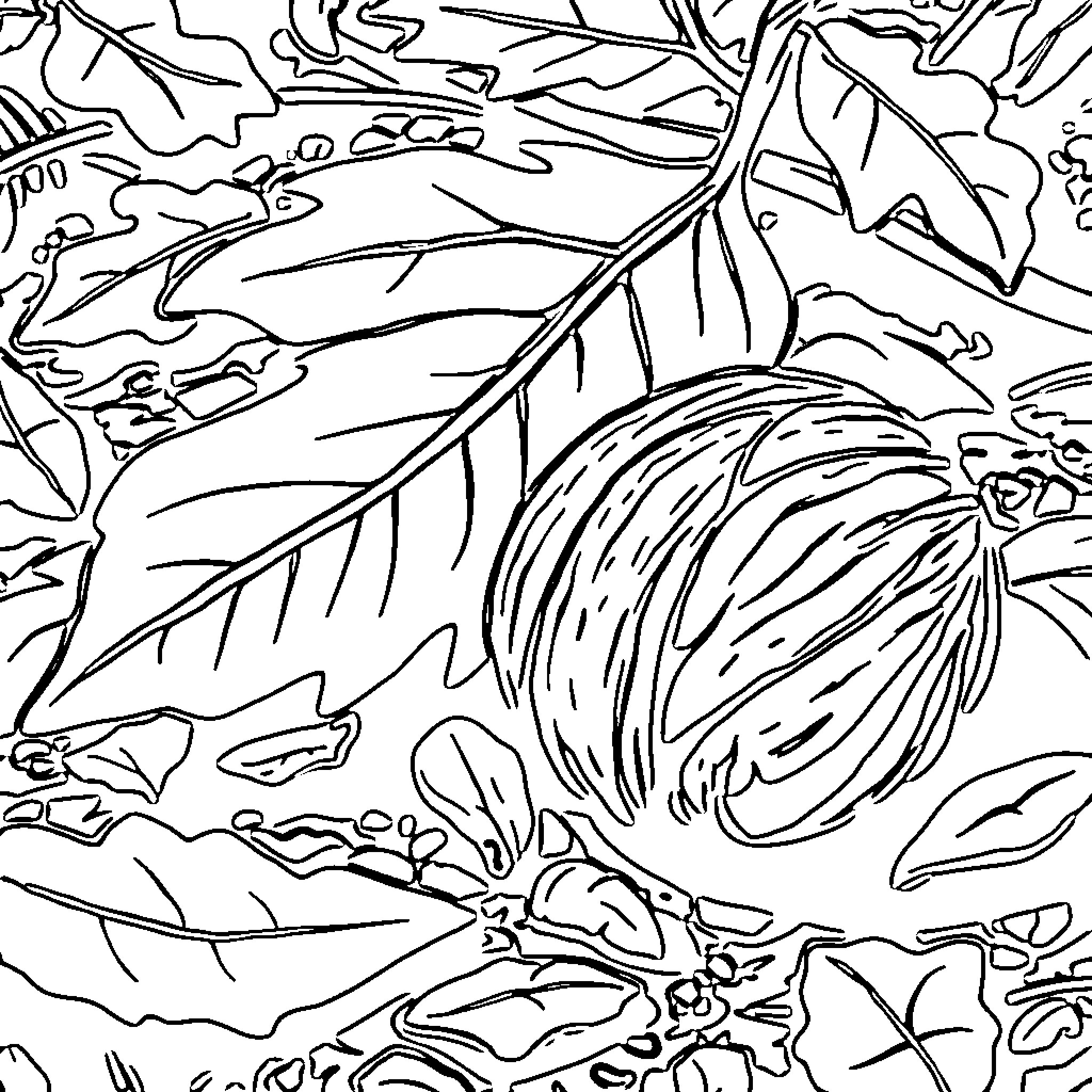 Leaf patterns intertwined in nature Coloring Page (free black-and-white line drawing printable PDF for all, from beginners to advanced learners, including children, teens, adults, and seniors)