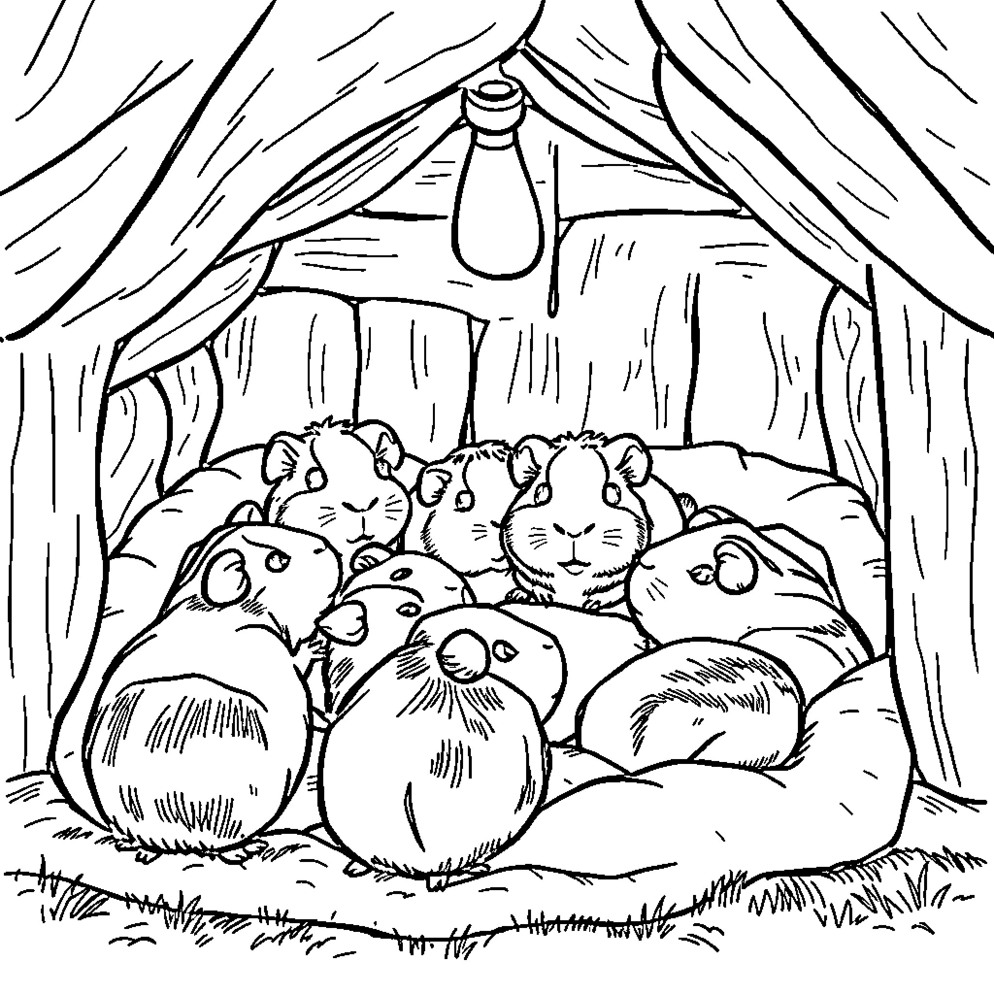 Guinea Pigs Huddled Together in a Cozy Enclosure Coloring Page (free black-and-white line drawing printable PDF for all, from beginners to advanced learners, including children, teens, adults, and seniors)
