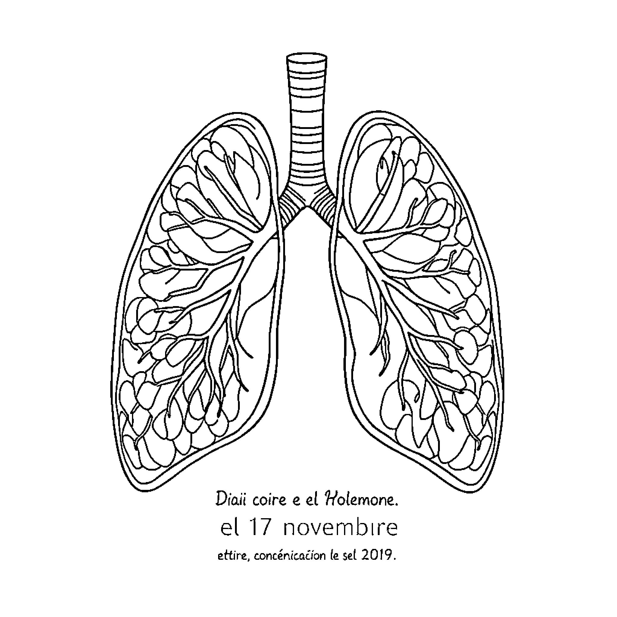 Tomography of Lungs with Intricate Details Coloring Page (free black-and-white line drawing printable PDF for all, from beginners to advanced learners, including children, teens, adults, and seniors)