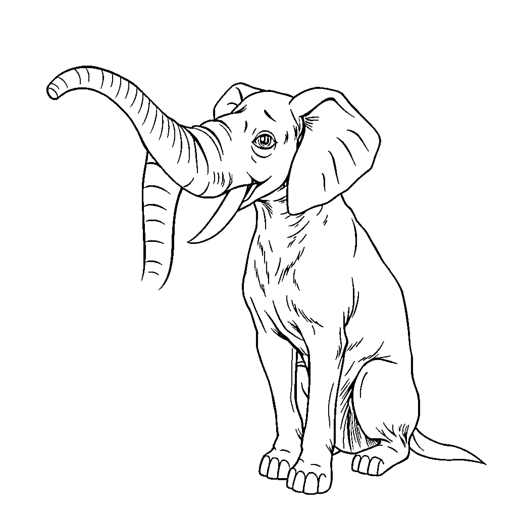 Dog with playful elephant-like trunk Coloring Page (free black-and-white line drawing printable PDF for all, from beginners to advanced learners, including children, teens, adults, and seniors)