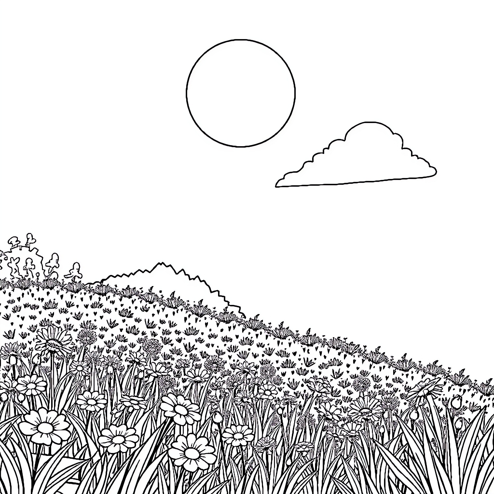 Summer field of blooming flowers under the sun Coloring Page (free black-and-white line drawing printable PDF for all, from beginners to advanced learners, including children, teens, adults, and seniors)