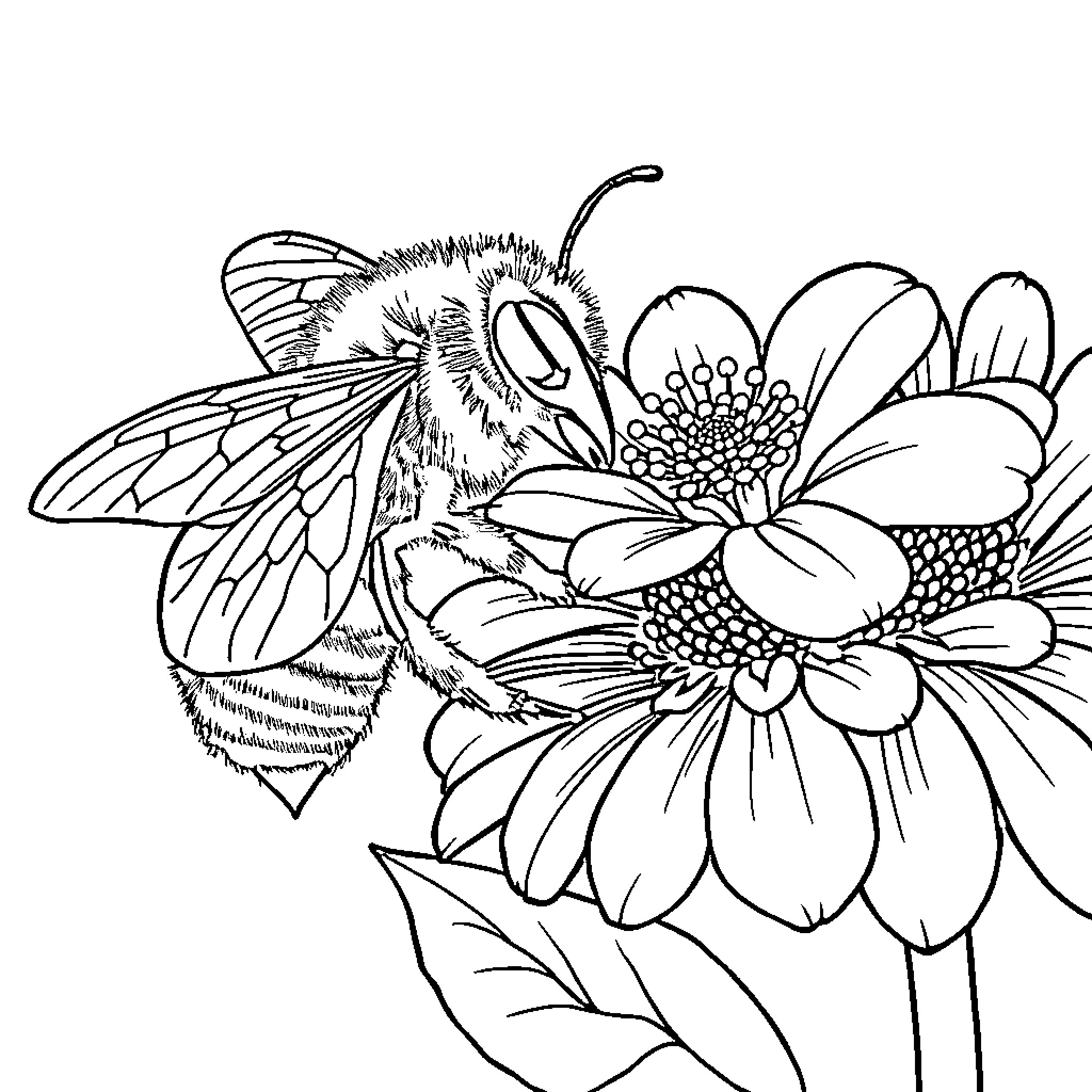 Bee pollinating beautiful flowers Coloring Page (free black-and-white line drawing printable PDF for all, from beginners to advanced learners, including children, teens, adults, and seniors)