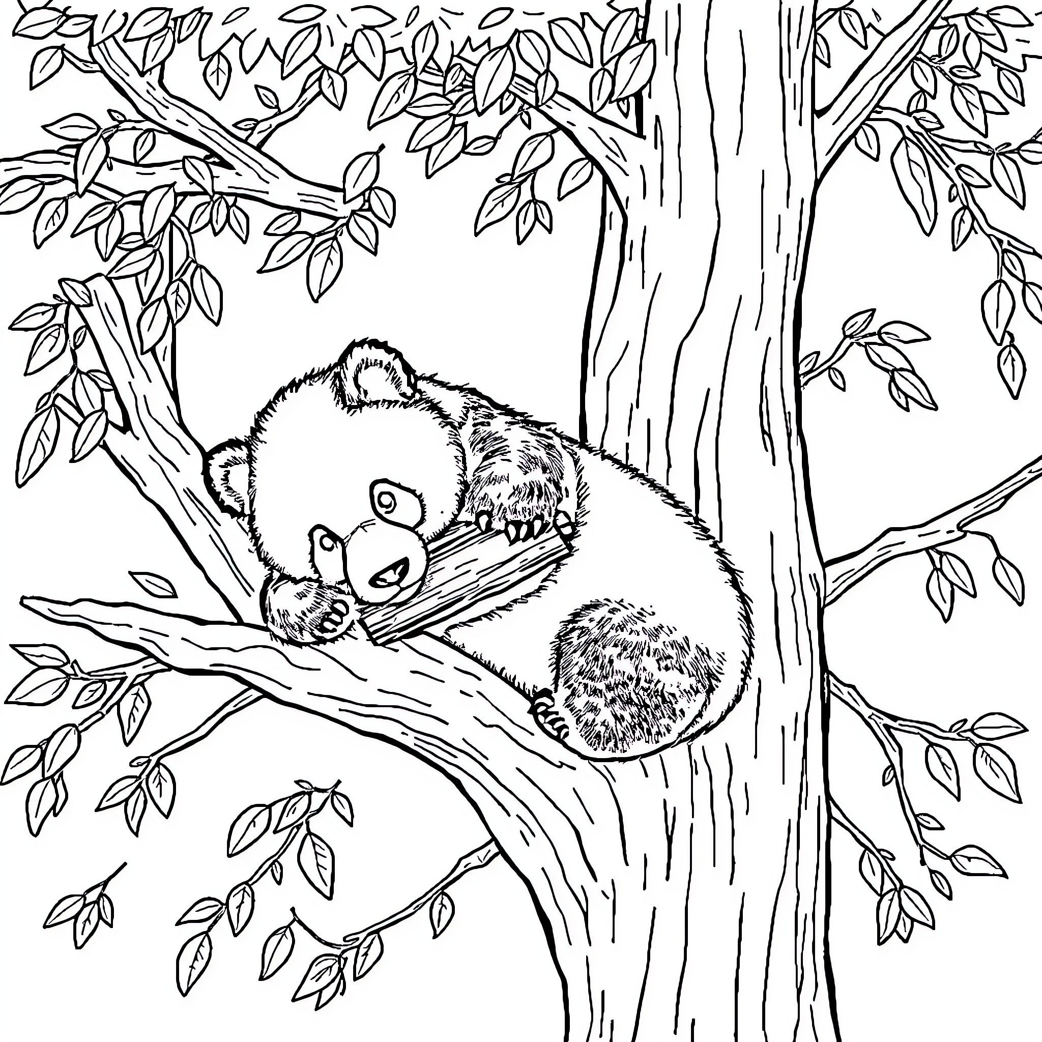 Panda resting peacefully in the tree Coloring Page (free black-and-white line drawing printable PDF for all, from beginners to advanced learners, including children, teens, adults, and seniors)