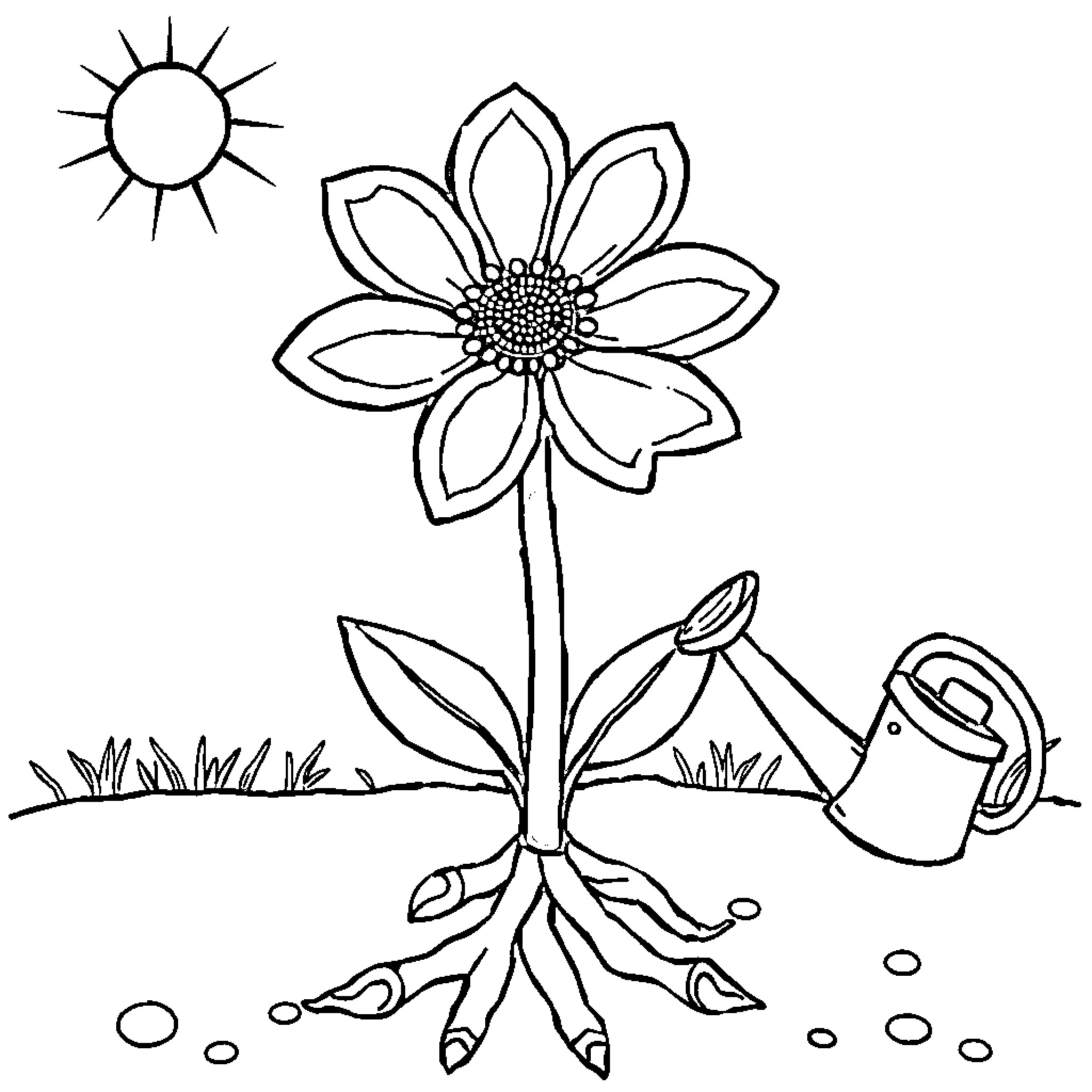 Flower being watered with sunshine Coloring Page (free black-and-white line drawing printable PDF for all, from beginners to advanced learners, including children, teens, adults, and seniors)