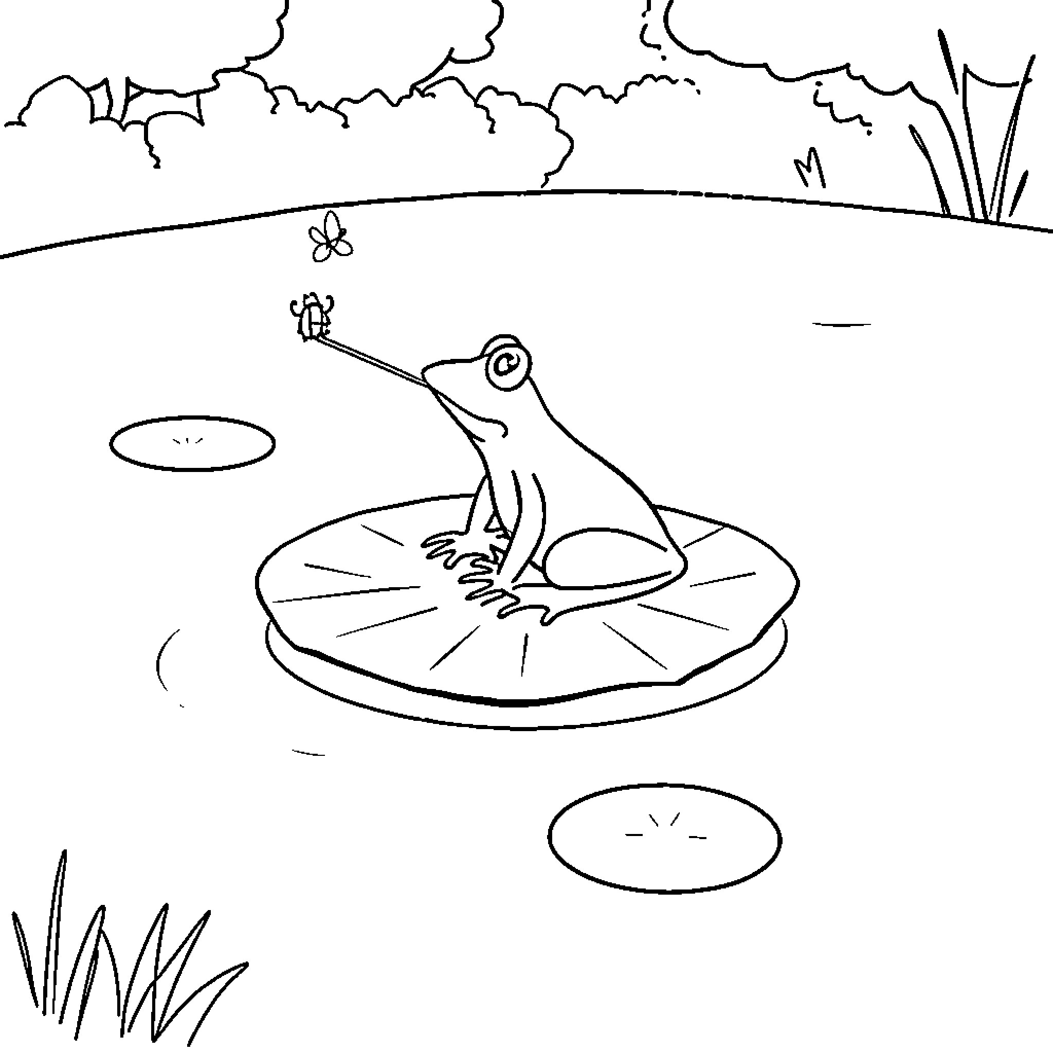 Frog resting on lily pad in pond Coloring Page (free black-and-white line drawing printable PDF for all, from beginners to advanced learners, including children, teens, adults, and seniors)