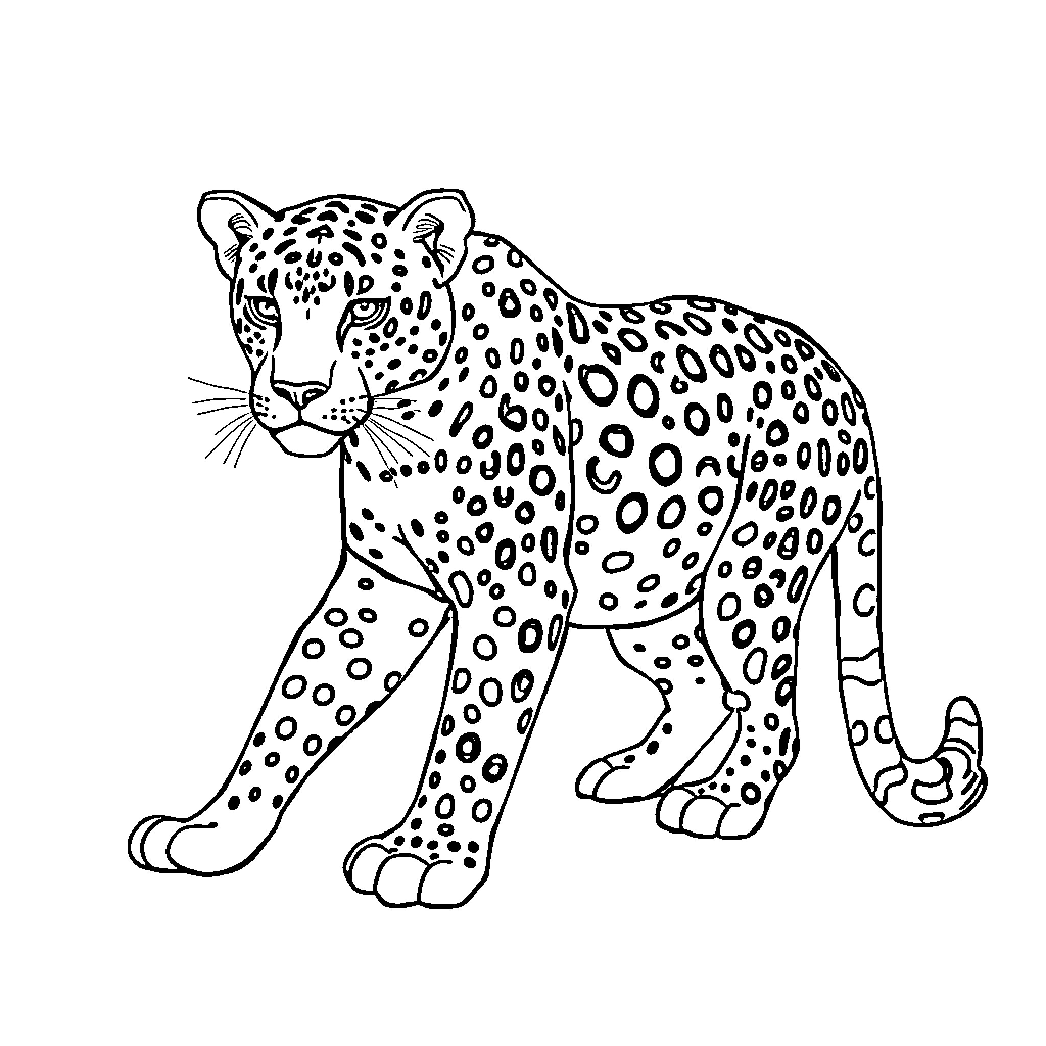 Leopard prowling through the wild Coloring Page (free black-and-white line drawing printable PDF for all, from beginners to advanced learners, including children, teens, adults, and seniors)