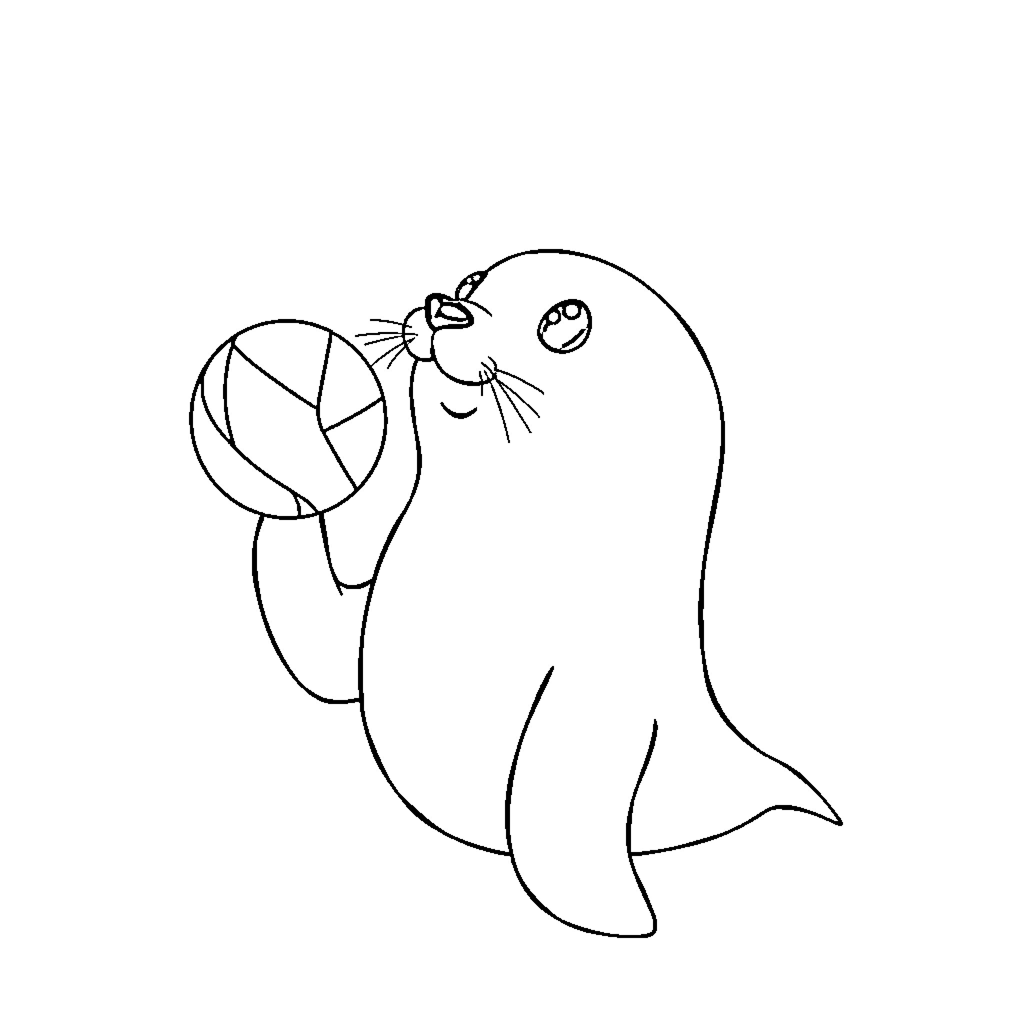 Seal playing with a beach ball Coloring Page (free black-and-white line drawing printable PDF for all, from beginners to advanced learners, including children, teens, adults, and seniors)