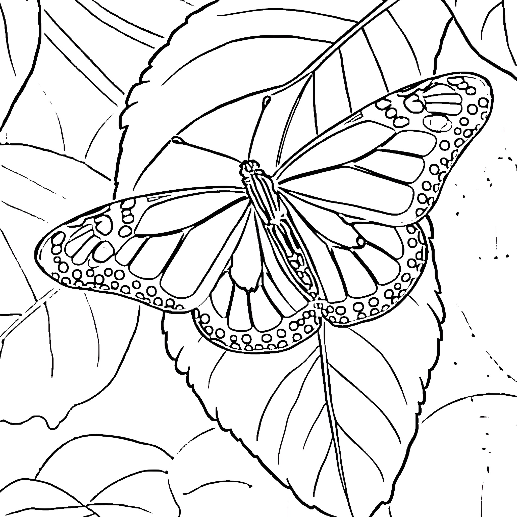 Monarch Butterfly resting on a leaf Coloring Page (free black-and-white line drawing printable PDF for all, from beginners to advanced learners, including children, teens, adults, and seniors)