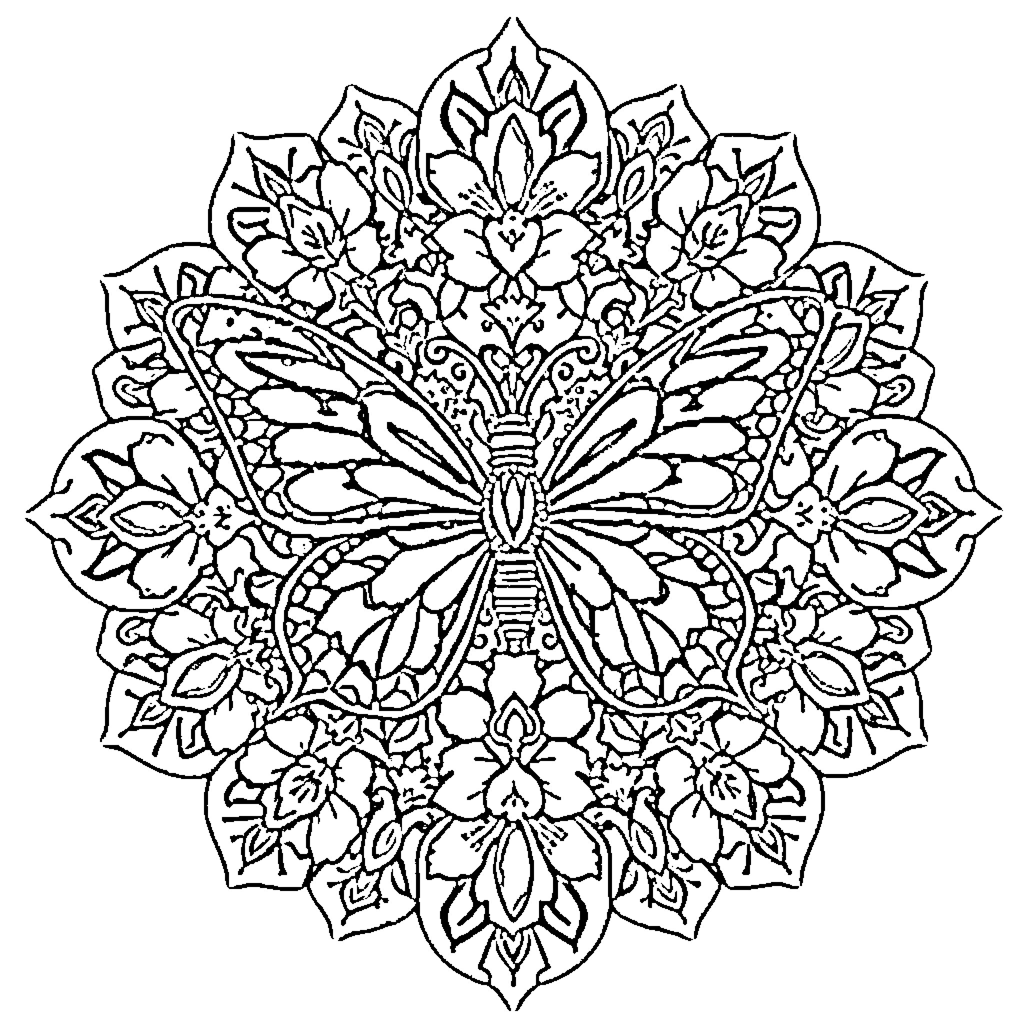 Papillon - Ornate Floral Mandala Design Coloring Page (free black-and-white line drawing printable PDF for all, from beginners to advanced learners, including children, teens, adults, and seniors)