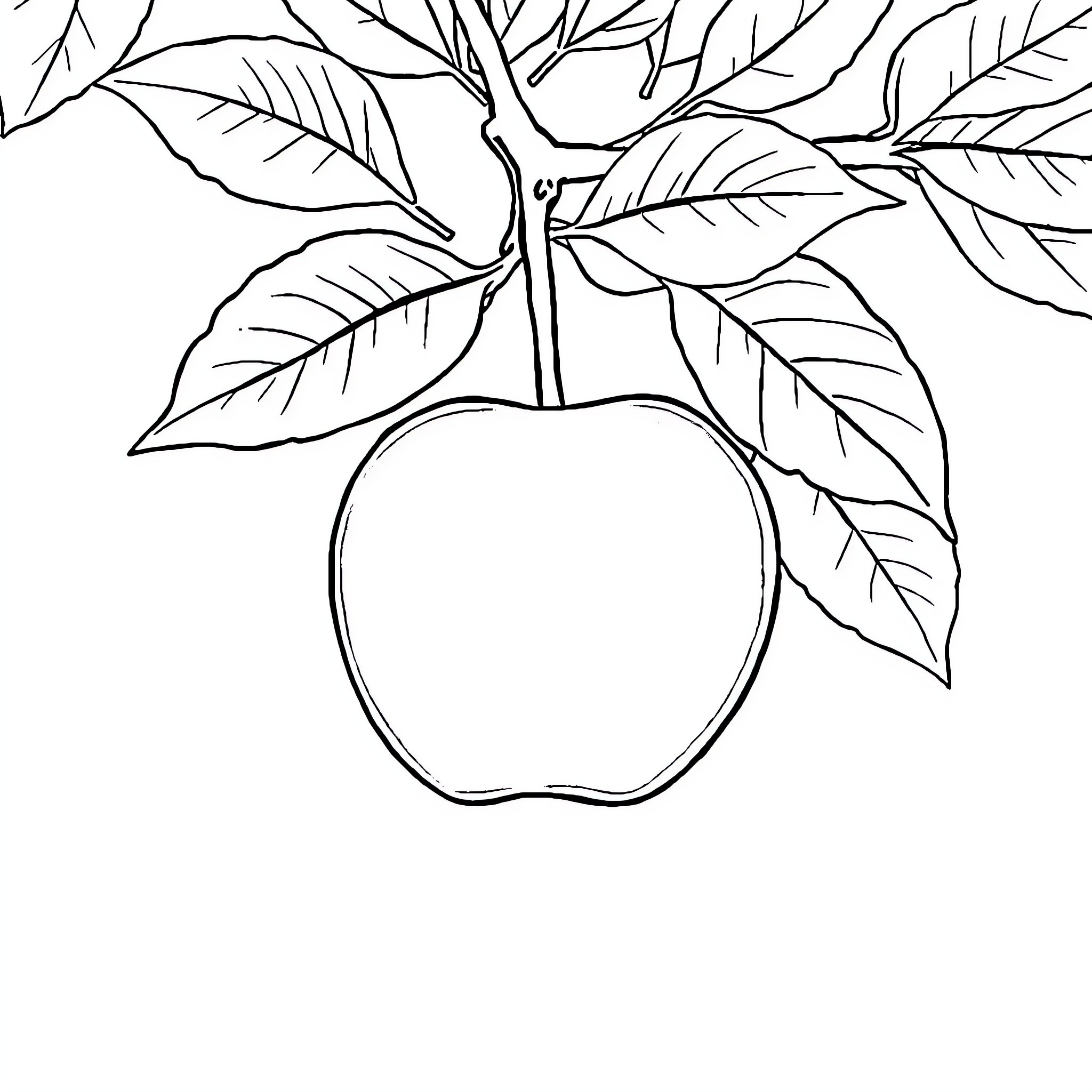 Apple on tree branch with leaves Coloring Page (free black-and-white line drawing printable PDF for all, from beginners to advanced learners, including children, teens, adults, and seniors)