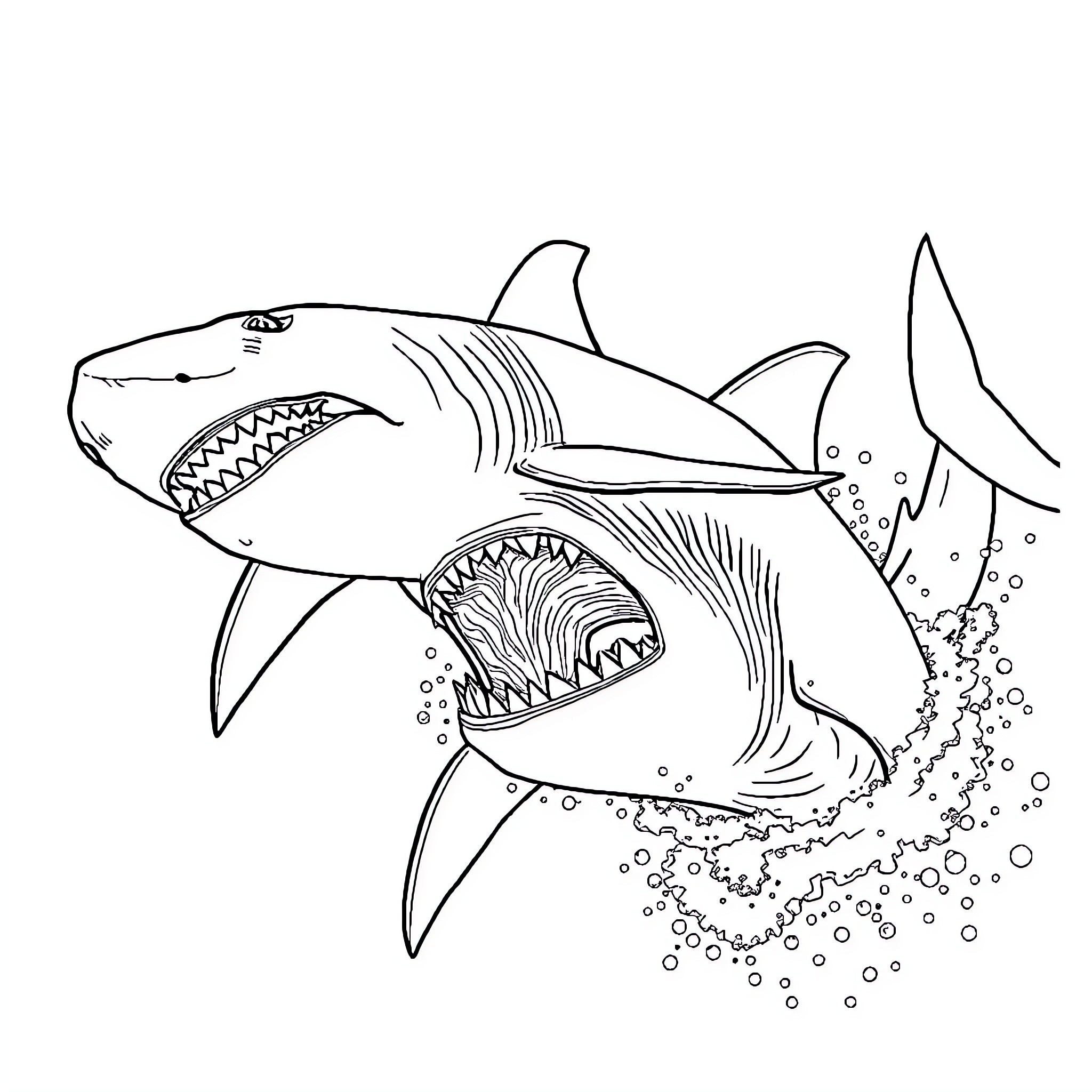 Shark attacking with ferocious jaws Coloring Page (free black-and-white line drawing printable PDF for all, from beginners to advanced learners, including children, teens, adults, and seniors)