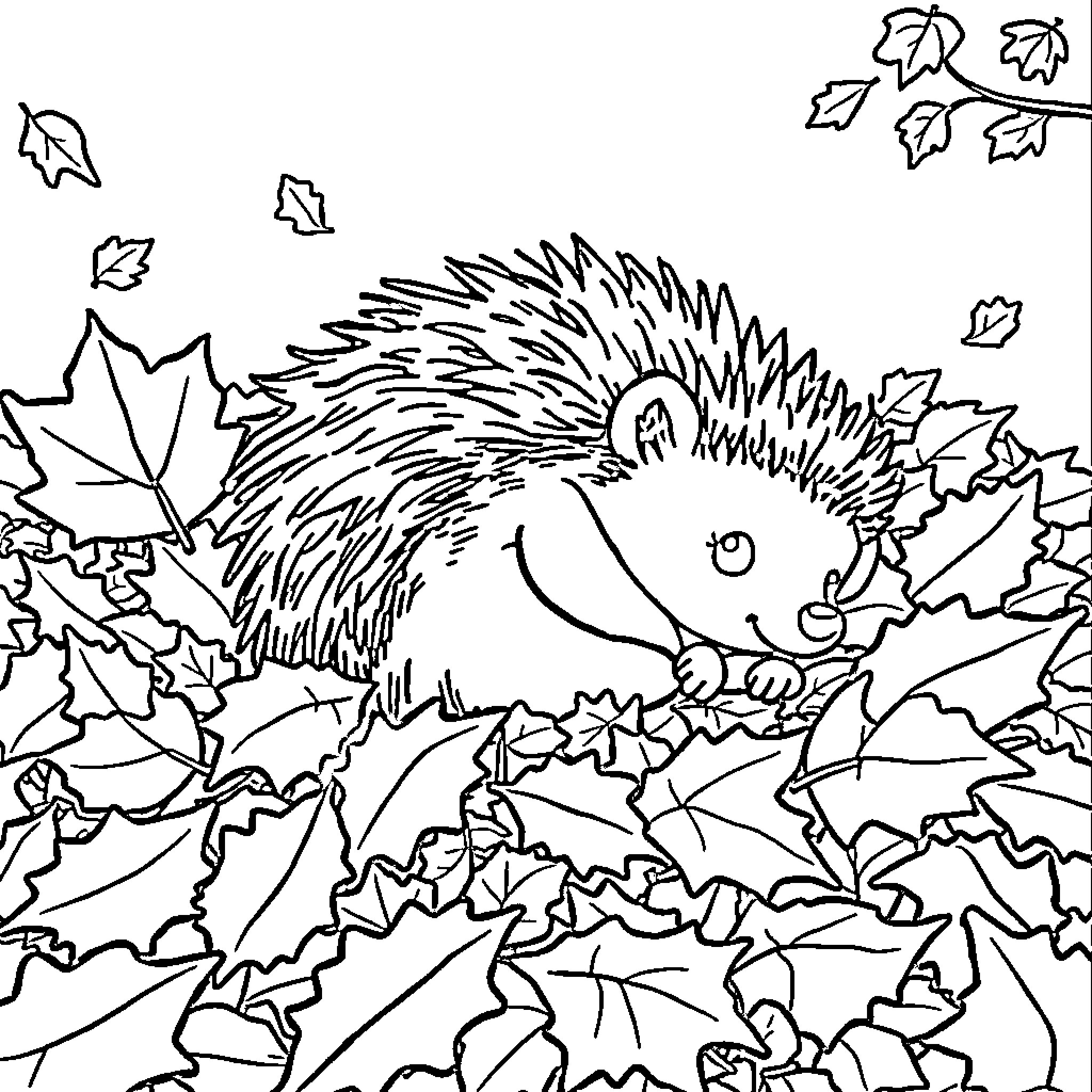 Hedgehog exploring autumn leaves and branches Coloring Page (free black-and-white line drawing printable PDF for all, from beginners to advanced learners, including children, teens, adults, and seniors)