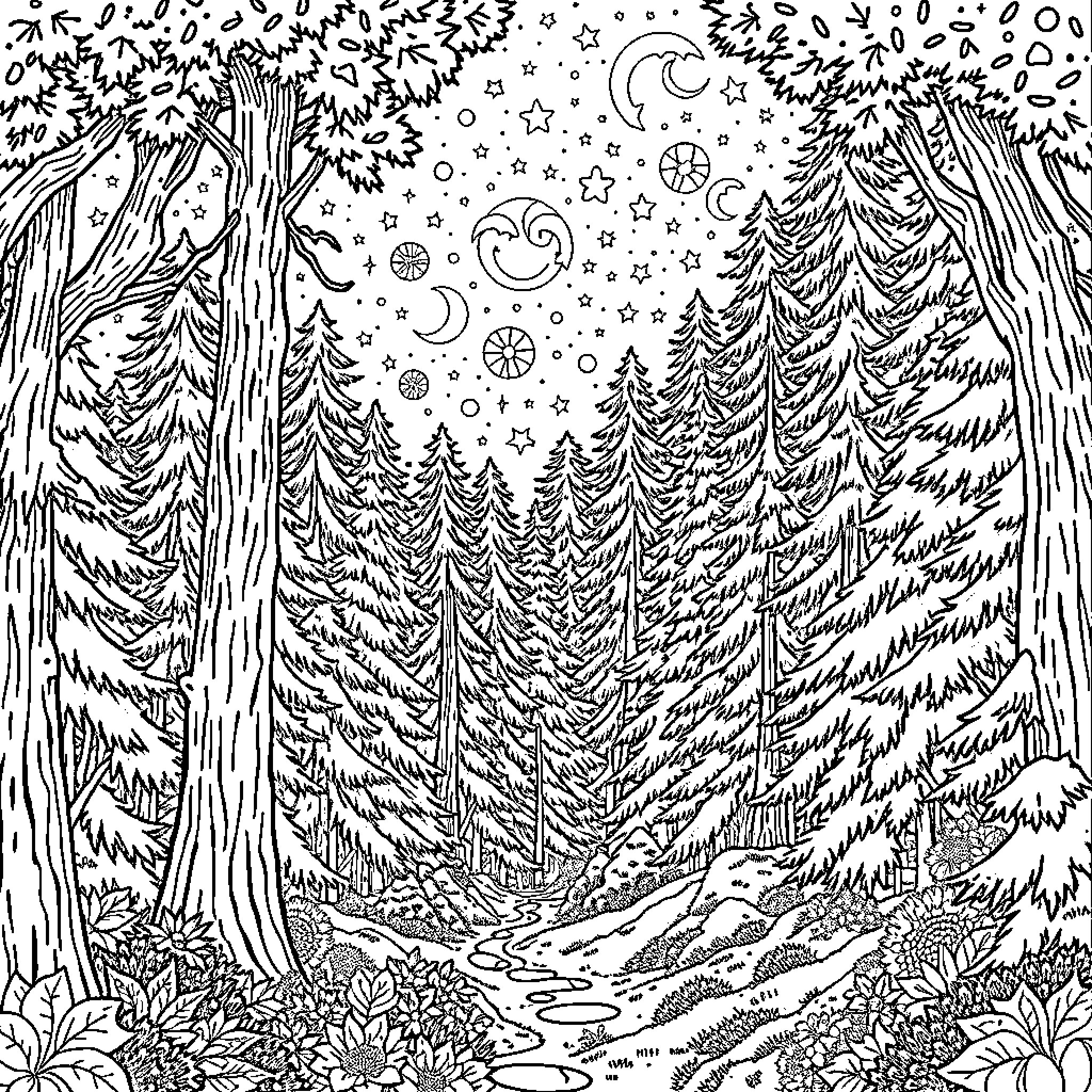 Forest Landscape with Starry Night Sky Coloring Page (free black-and-white line drawing printable PDF for all, from beginners to advanced learners, including children, teens, adults, and seniors)