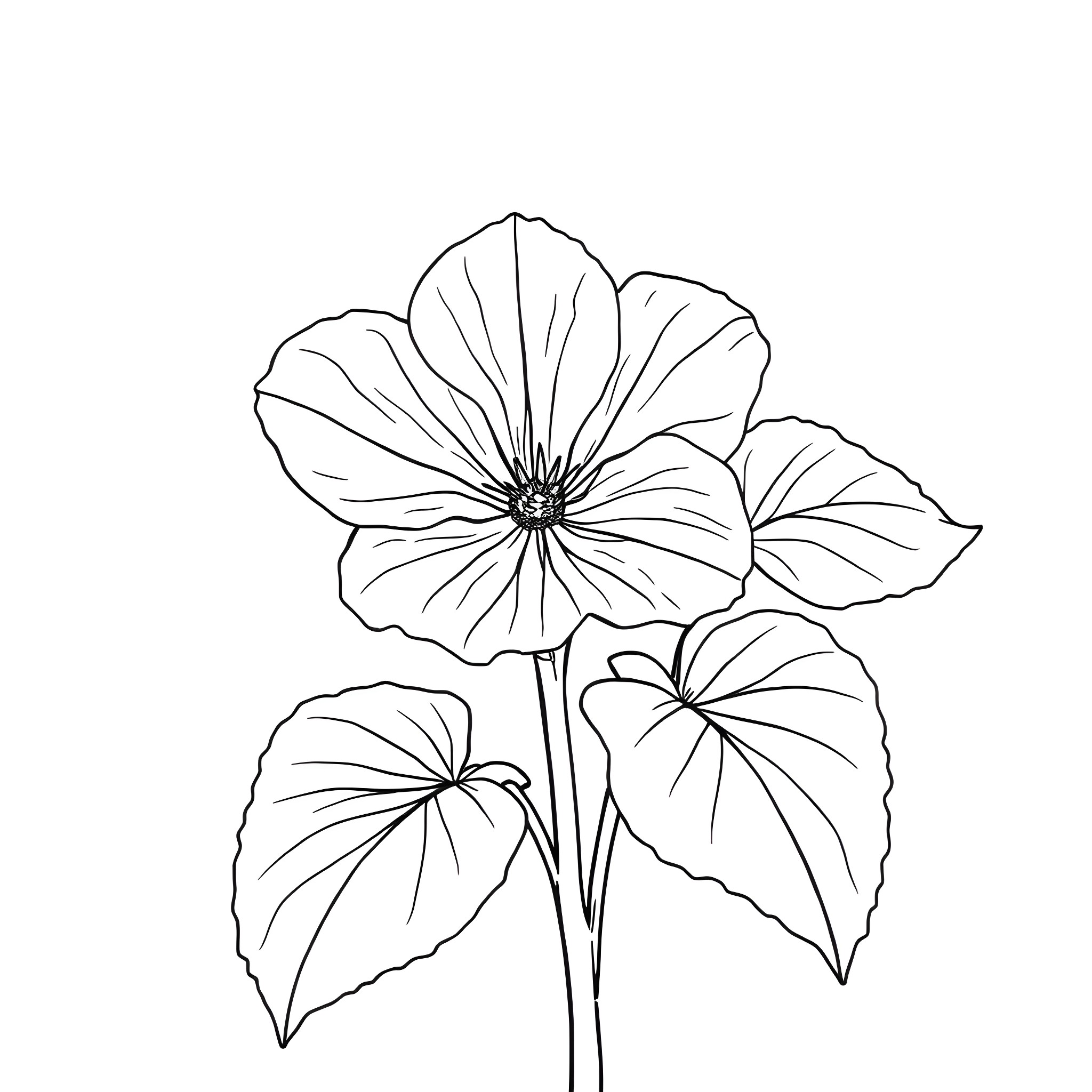 Nasturtium flower blossoms gracefully Coloring Page (free black-and-white line drawing printable PDF for all, from beginners to advanced learners, including children, teens, adults, and seniors)
