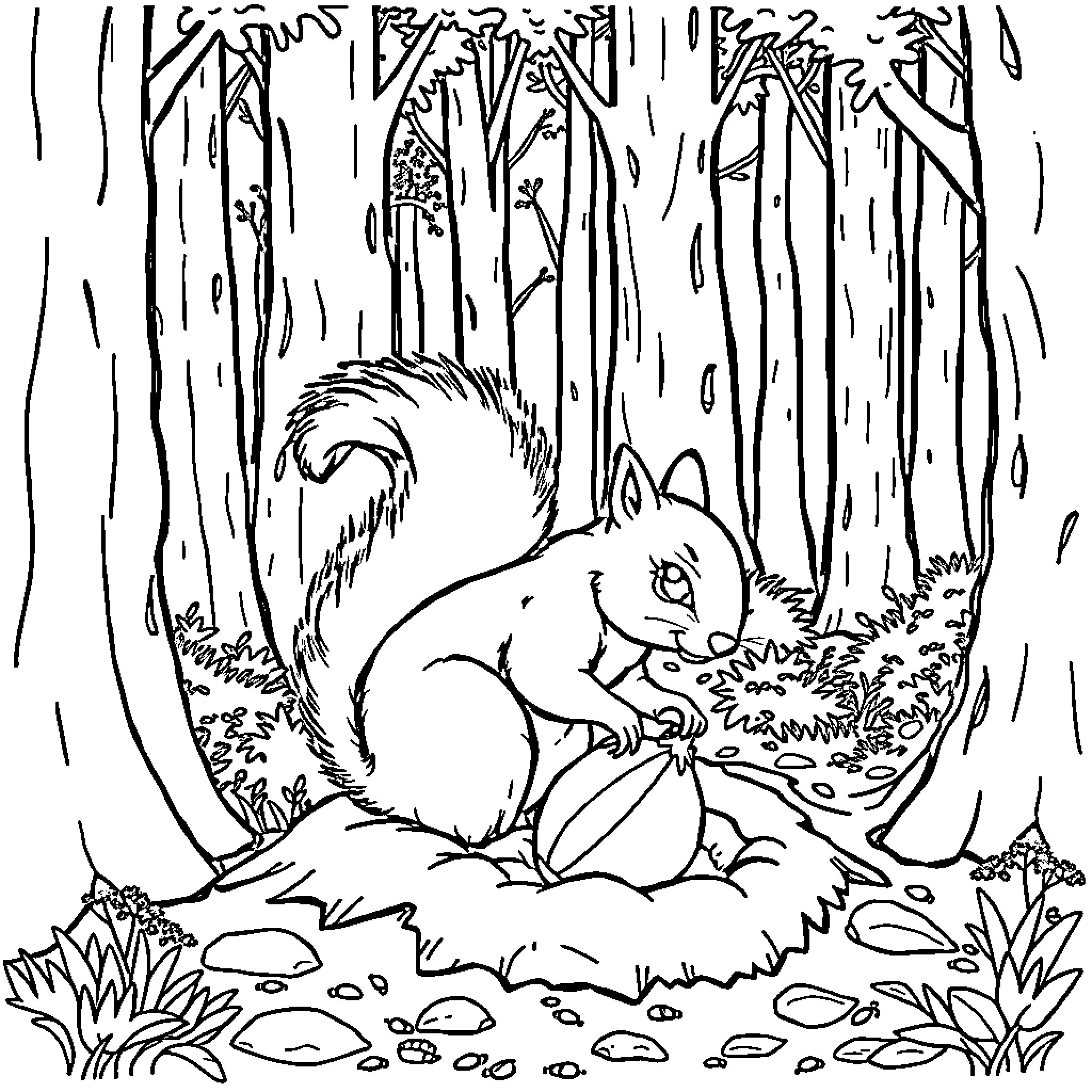 Squirrel searching for food in the forest Coloring Page (free black-and-white line drawing printable PDF for all, from beginners to advanced learners, including children, teens, adults, and seniors)