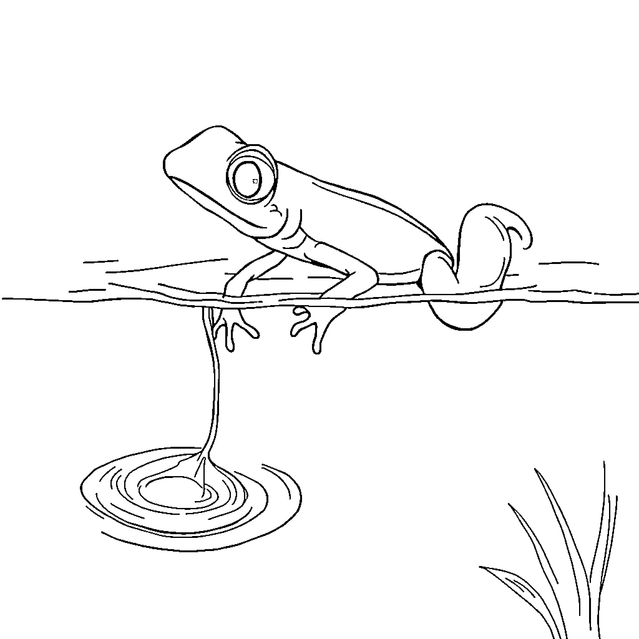 Duck lounging on a lily pad in the pond Coloring Page (free black-and-white line drawing printable PDF for all, from beginners to advanced learners, including children, teens, adults, and seniors)