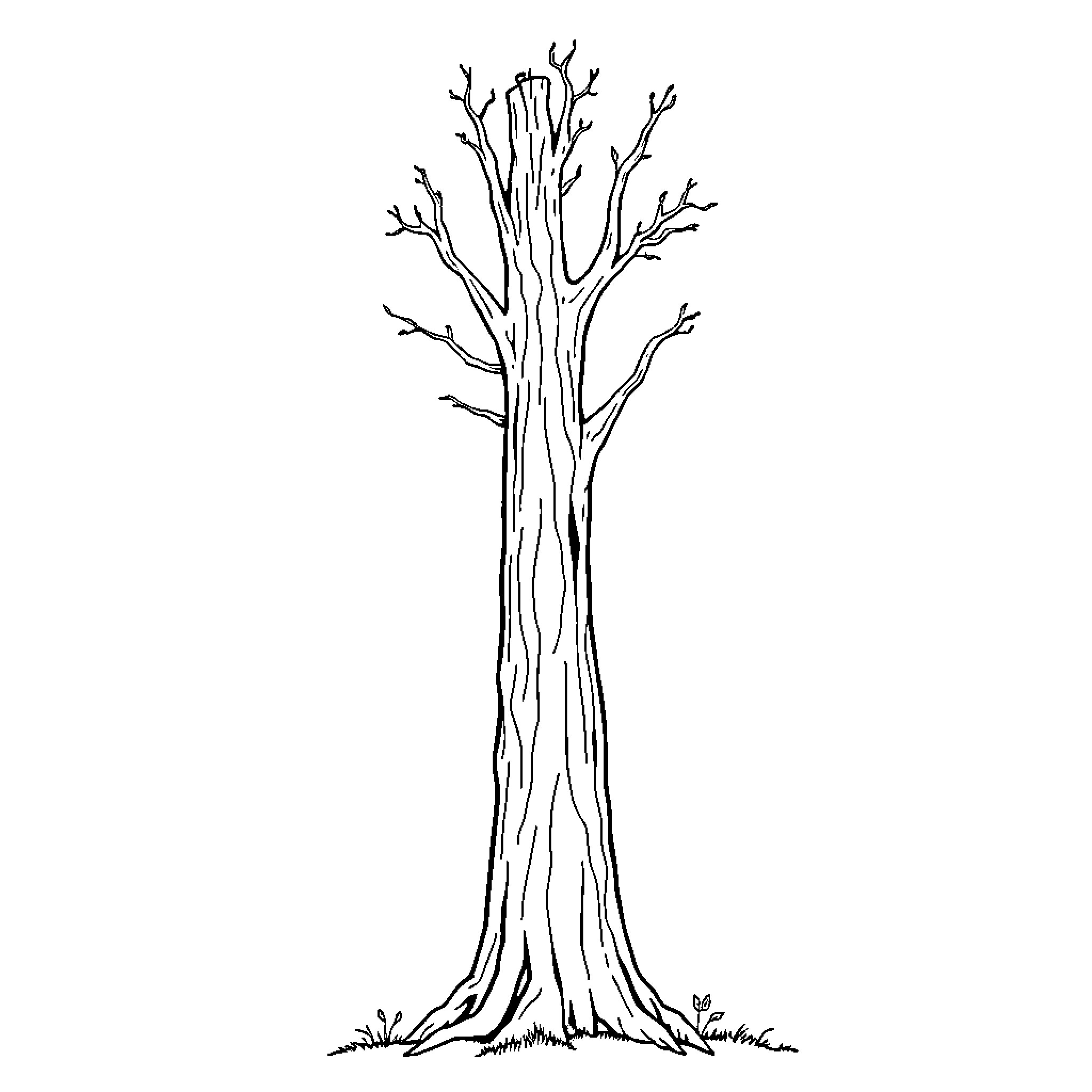 Trunk of a bare tree in winter Coloring Page (free black-and-white line drawing printable PDF for all, from beginners to advanced learners, including children, teens, adults, and seniors)