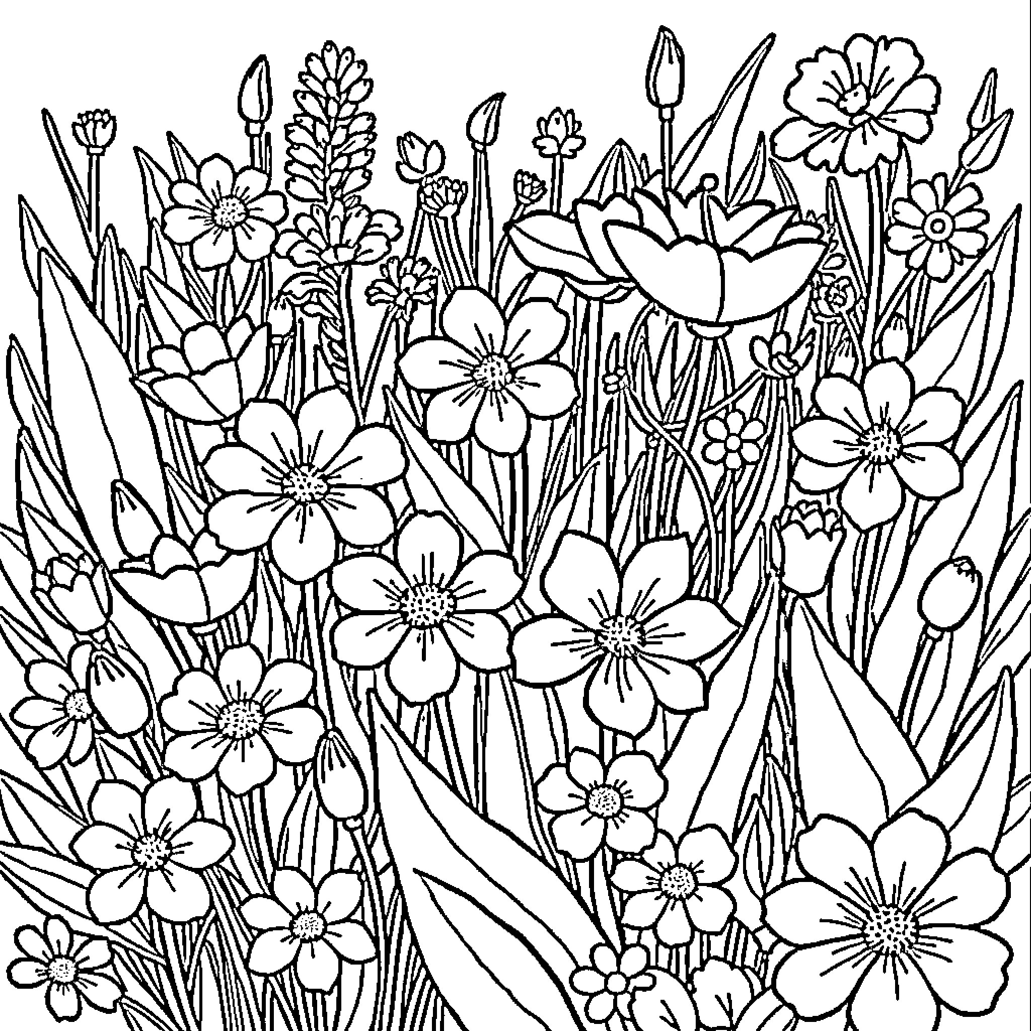Flower Garden Abundance and Beauty Coloring Page (free black-and-white line drawing printable PDF for all, from beginners to advanced learners, including children, teens, adults, and seniors)