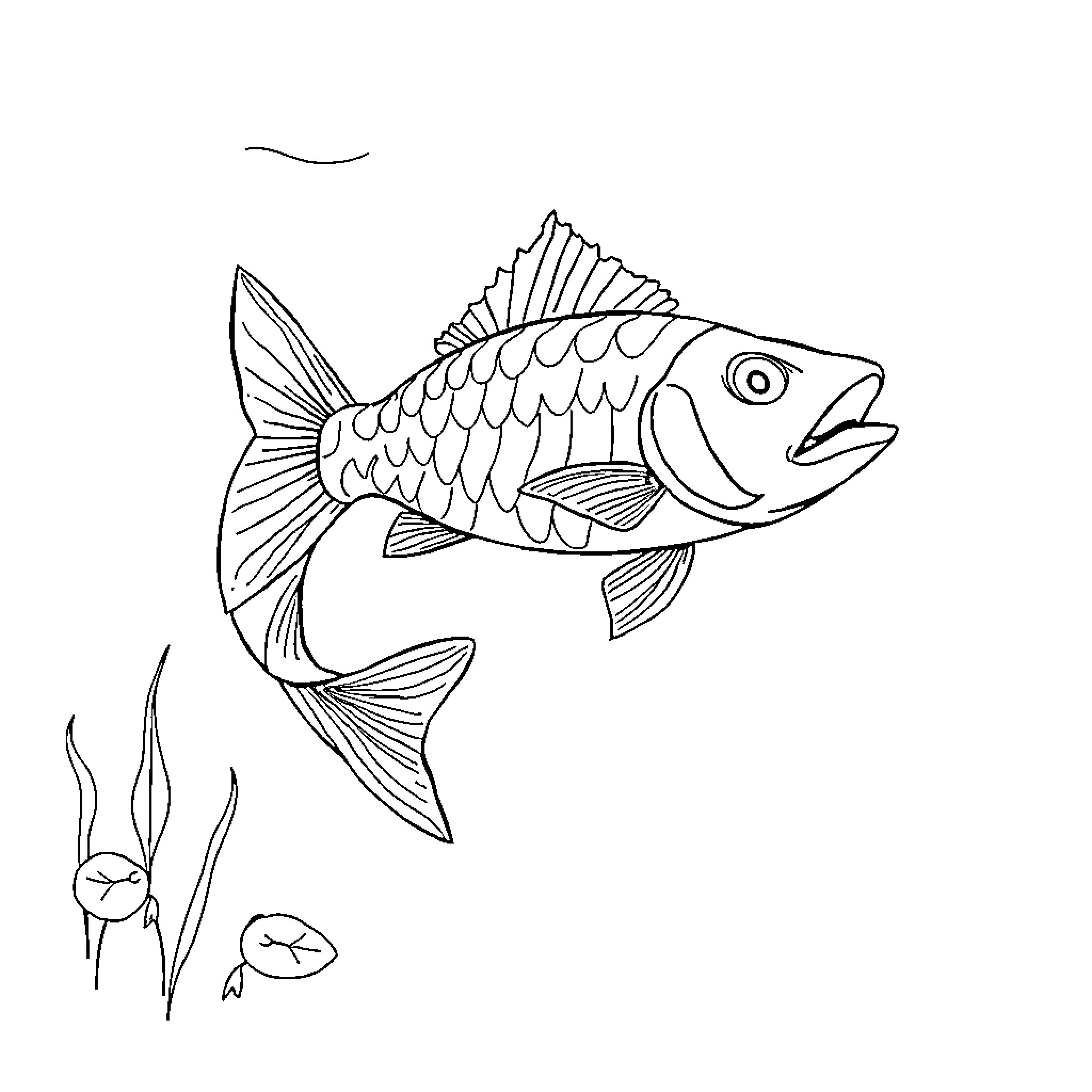 Fish swimming playfully underwater Coloring Page (free black-and-white line drawing printable PDF for all, from beginners to advanced learners, including children, teens, adults, and seniors)