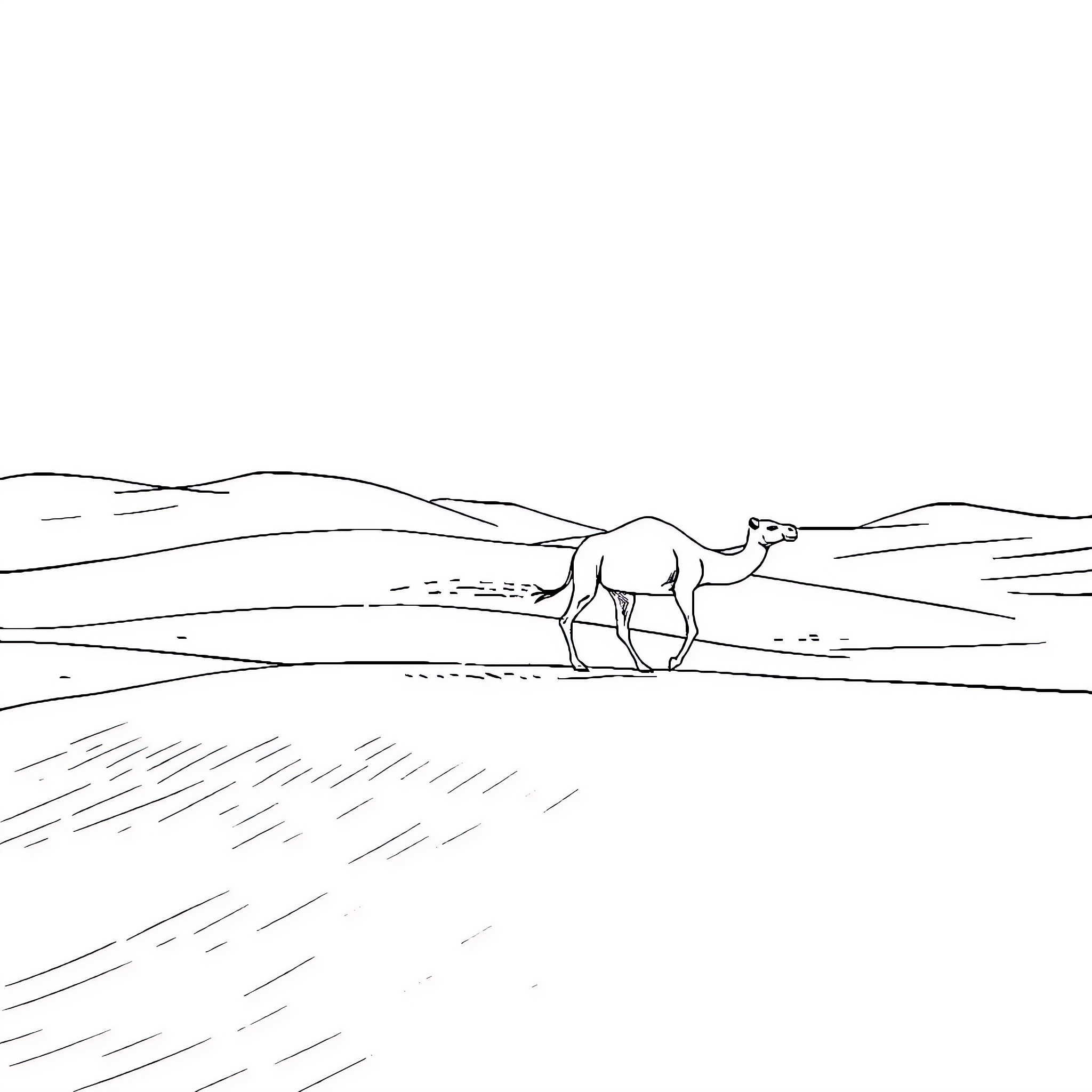 Camel walking through the desert landscape Coloring Page (free black-and-white line drawing printable PDF for all, from beginners to advanced learners, including children, teens, adults, and seniors)