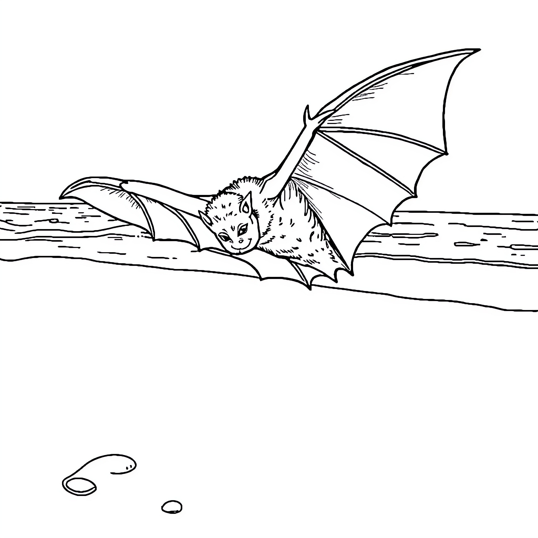 Bat resting on rocky surface Coloring Page (free black-and-white line drawing printable PDF for all, from beginners to advanced learners, including children, teens, adults, and seniors)