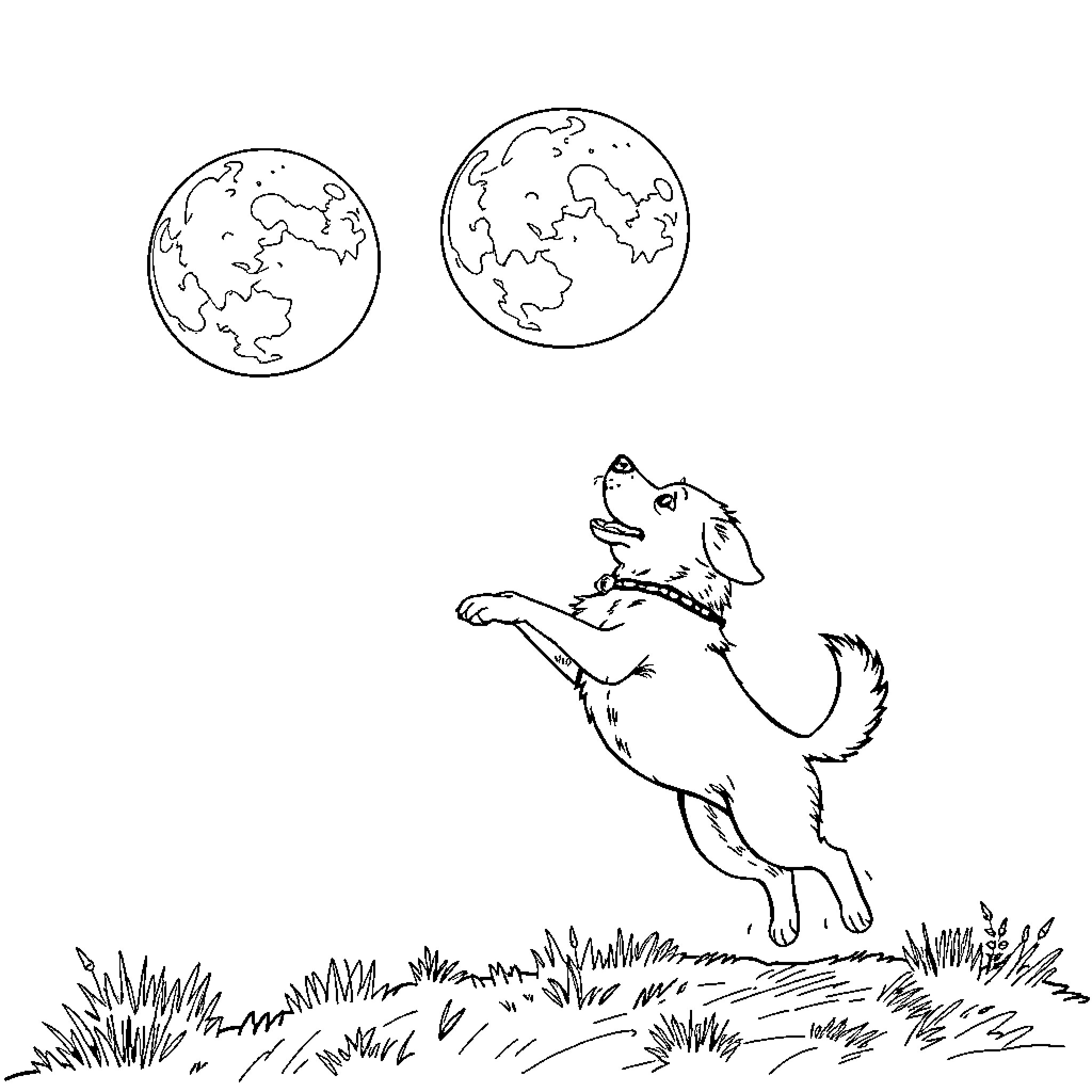 Dog jumping and playing under the night sky Coloring Page (free black-and-white line drawing printable PDF for all, from beginners to advanced learners, including children, teens, adults, and seniors)