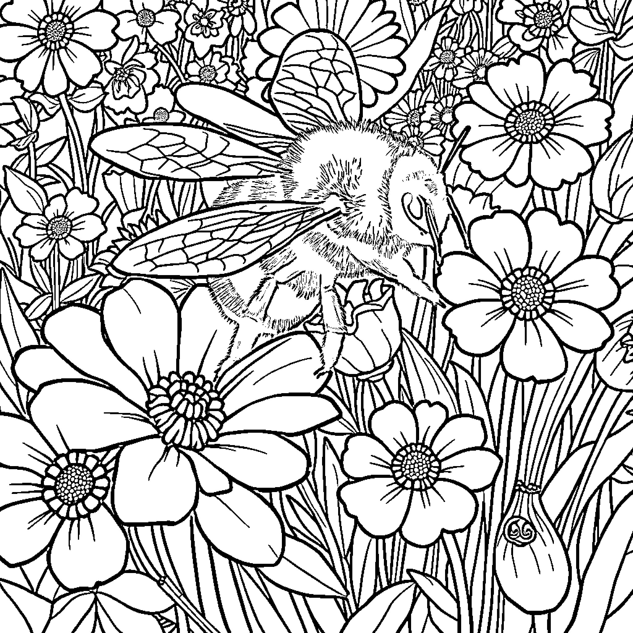 Bumblebee buzzing among colorful flowers Coloring Page (free black-and-white line drawing printable PDF for all, from beginners to advanced learners, including children, teens, adults, and seniors)