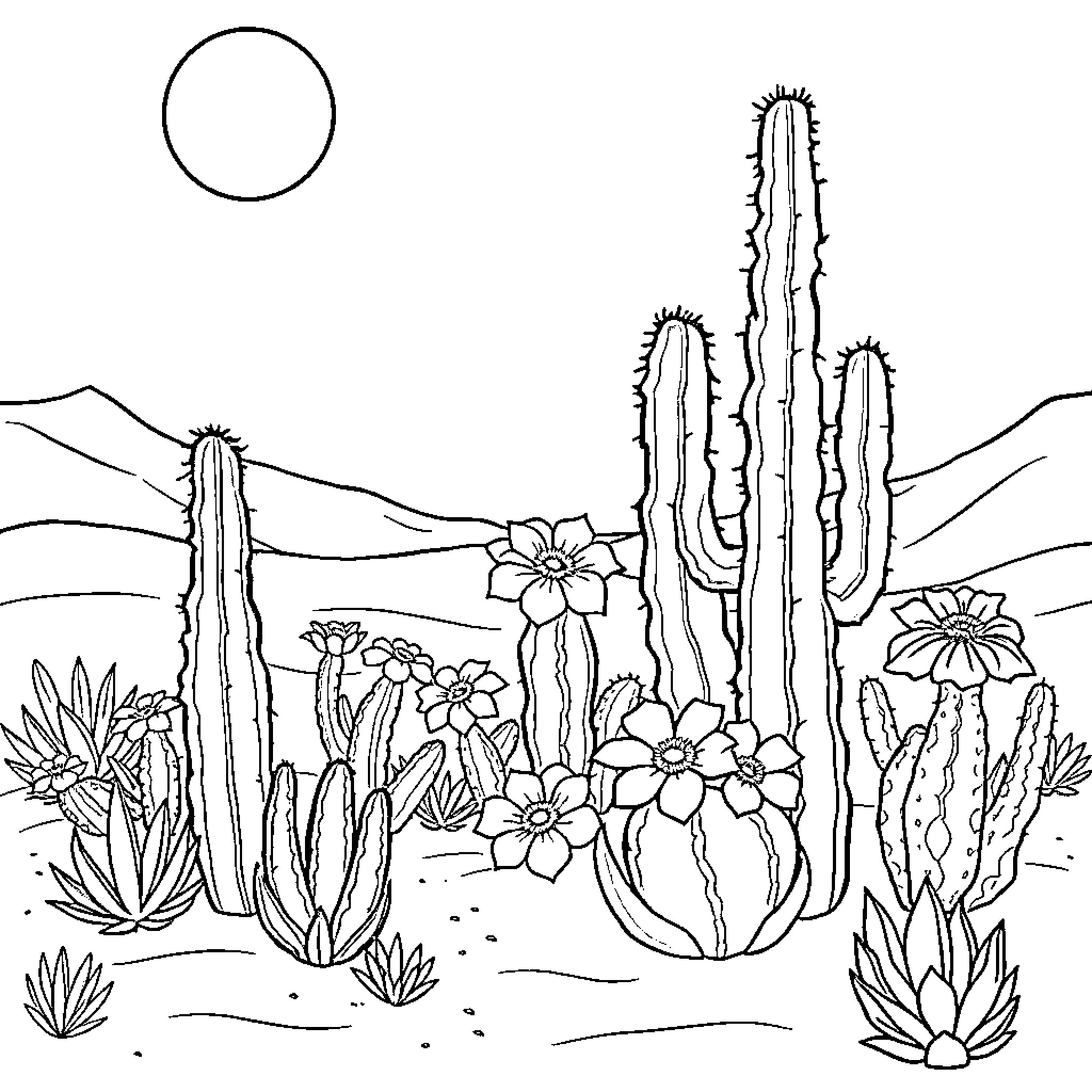 Cactus garden with blooming flowers in the desert Coloring Page (free black-and-white line drawing printable PDF for all, from beginners to advanced learners, including children, teens, adults, and seniors)