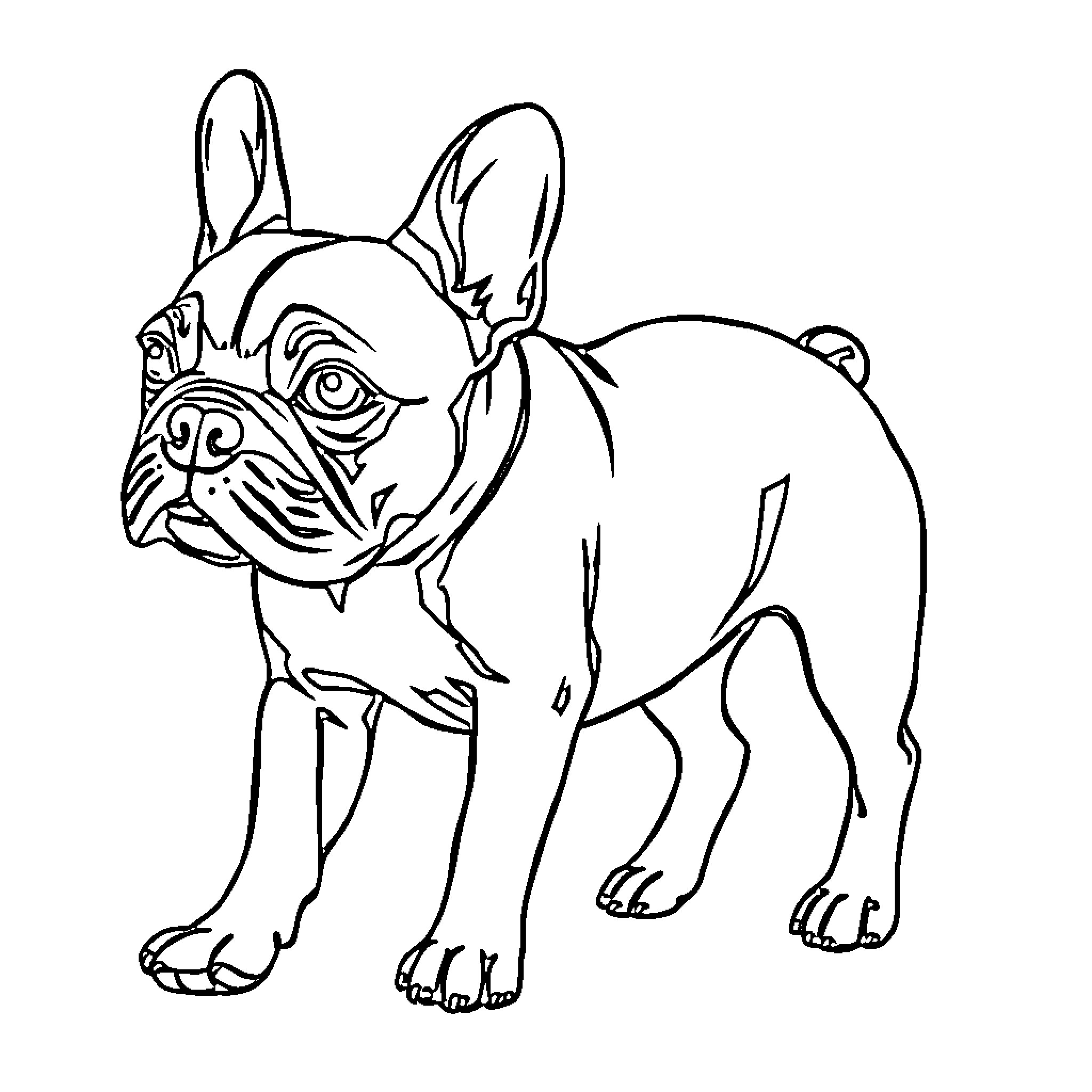 French Bulldog standing alert and attentive Coloring Page (free black-and-white line drawing printable PDF for all, from beginners to advanced learners, including children, teens, adults, and seniors)