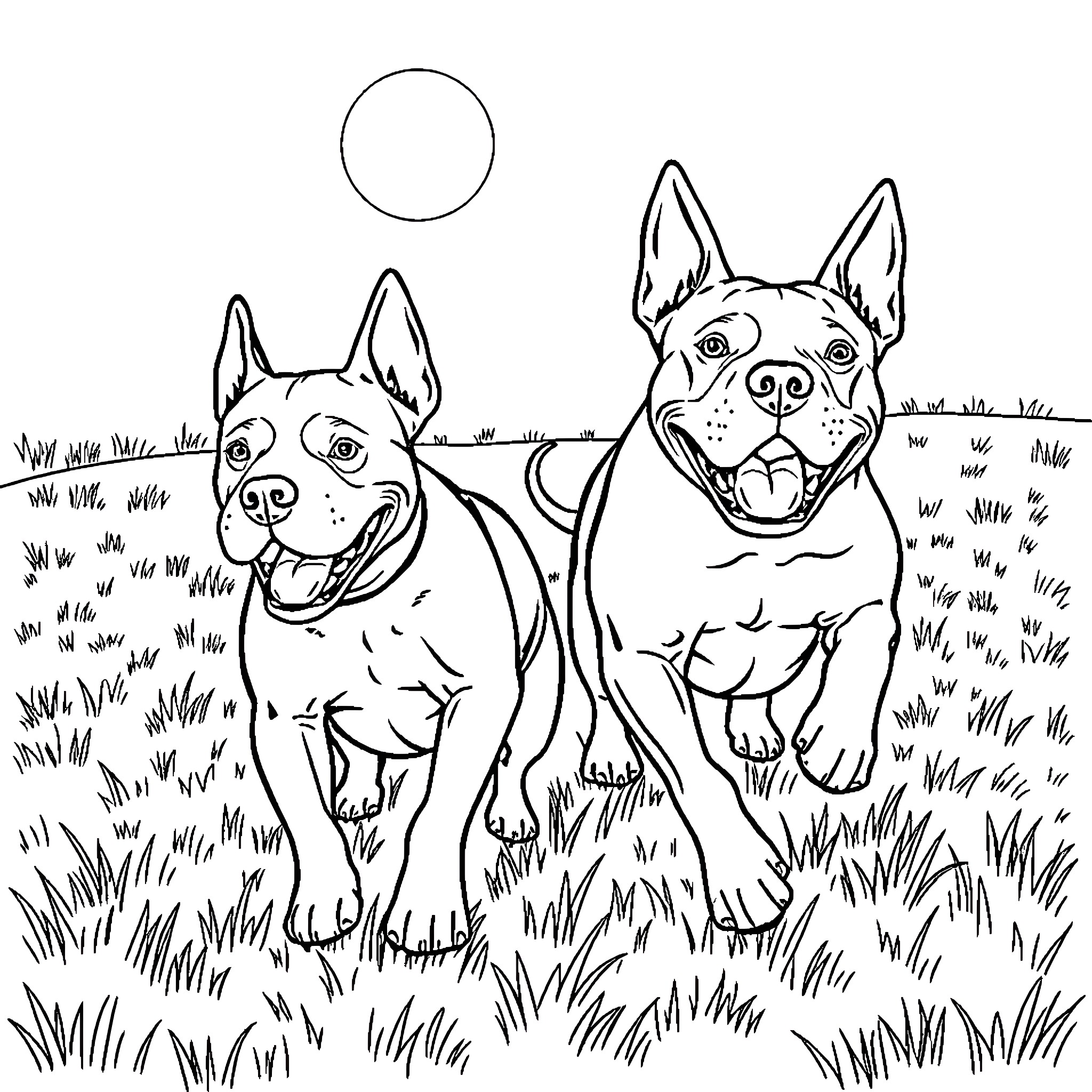 Pitbull duo frolicking joyfully in the grass Coloring Page (free black-and-white line drawing printable PDF for all, from beginners to advanced learners, including children, teens, adults, and seniors)