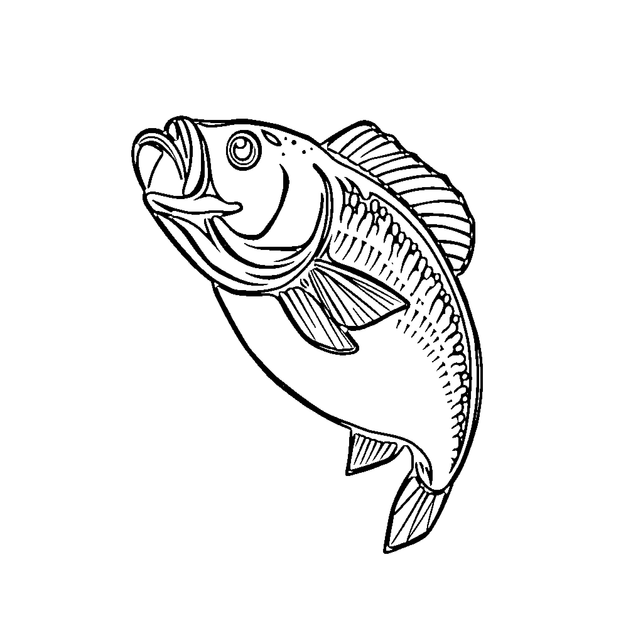 Bass fish in action-filled outline illustration Coloring Page (free black-and-white line drawing printable PDF for all, from beginners to advanced learners, including children, teens, adults, and seniors)