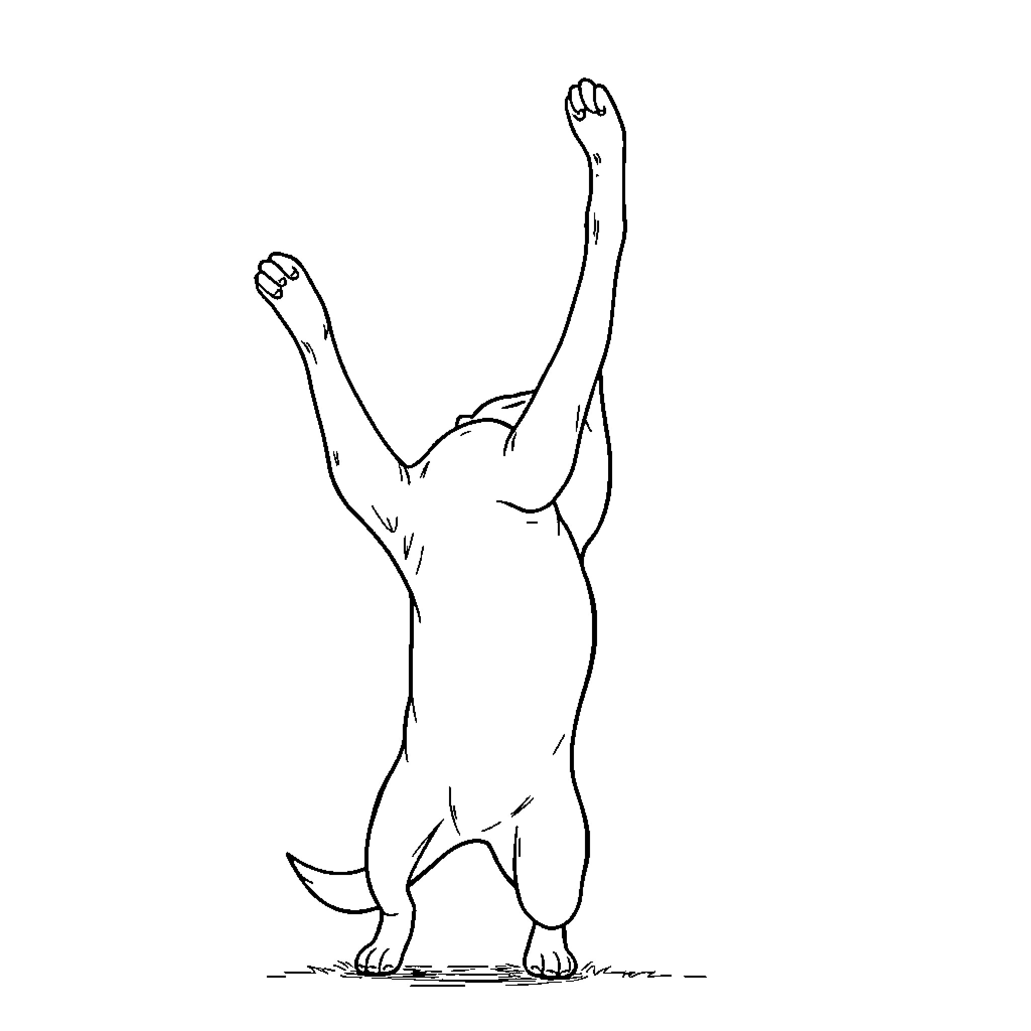 Dog stretching its limbs with joy Coloring Page (free black-and-white line drawing printable PDF for all, from beginners to advanced learners, including children, teens, adults, and seniors)