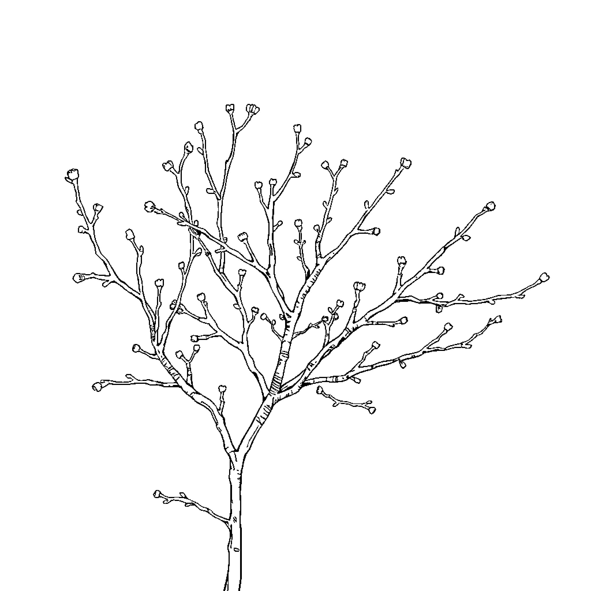 Brittle Bush Tree in Winter Silhouette Coloring Page (free black-and-white line drawing printable PDF for all, from beginners to advanced learners, including children, teens, adults, and seniors)