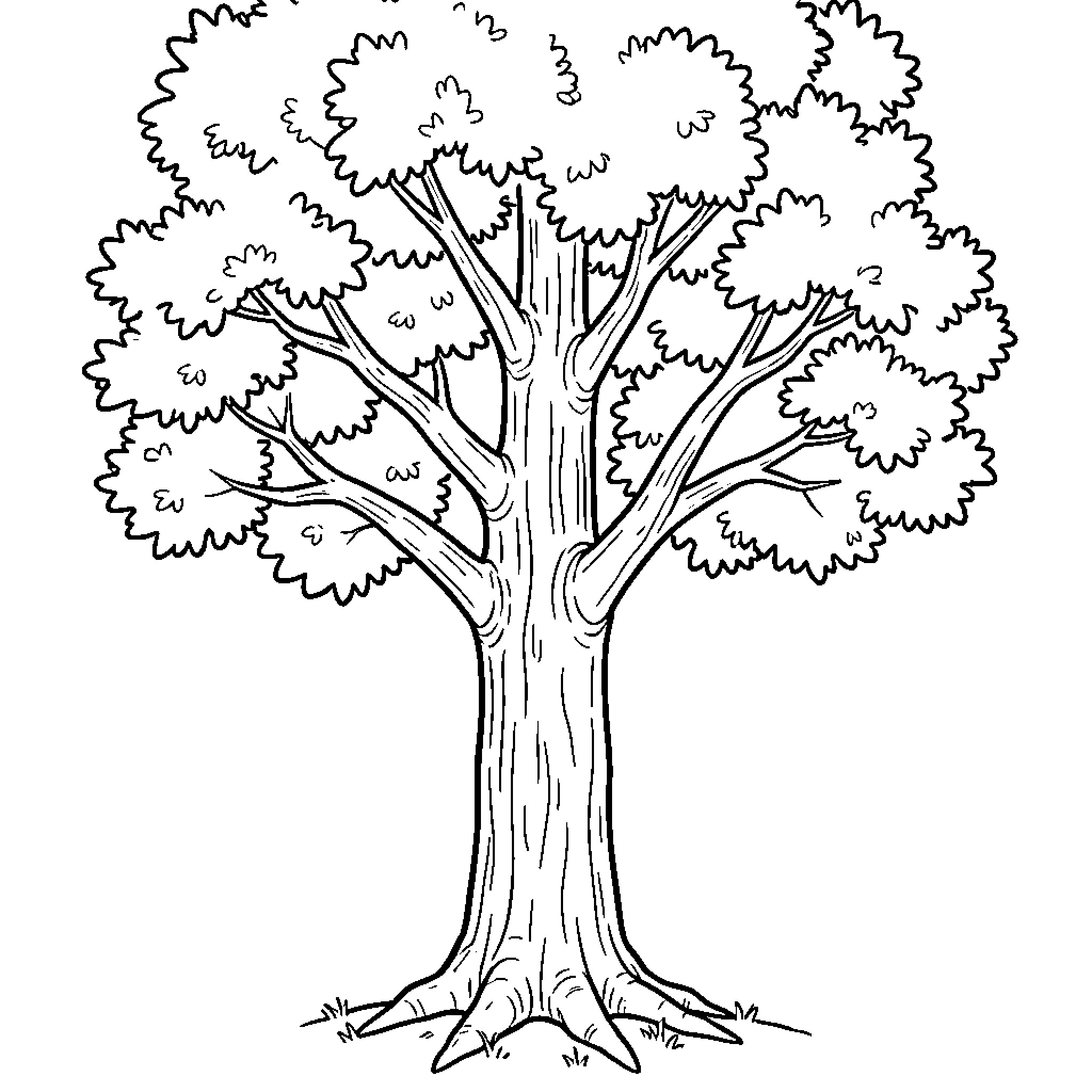 Beech tree standing tall with many spreading branches Coloring Page (free black-and-white line drawing printable PDF for all, from beginners to advanced learners, including children, teens, adults, and seniors)