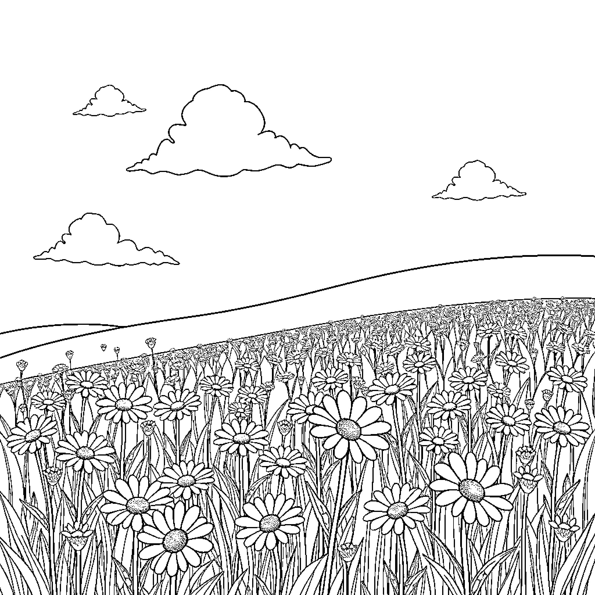 Daisy Flowers Blooming in the Countryside Coloring Page (free black-and-white line drawing printable PDF for all, from beginners to advanced learners, including children, teens, adults, and seniors)
