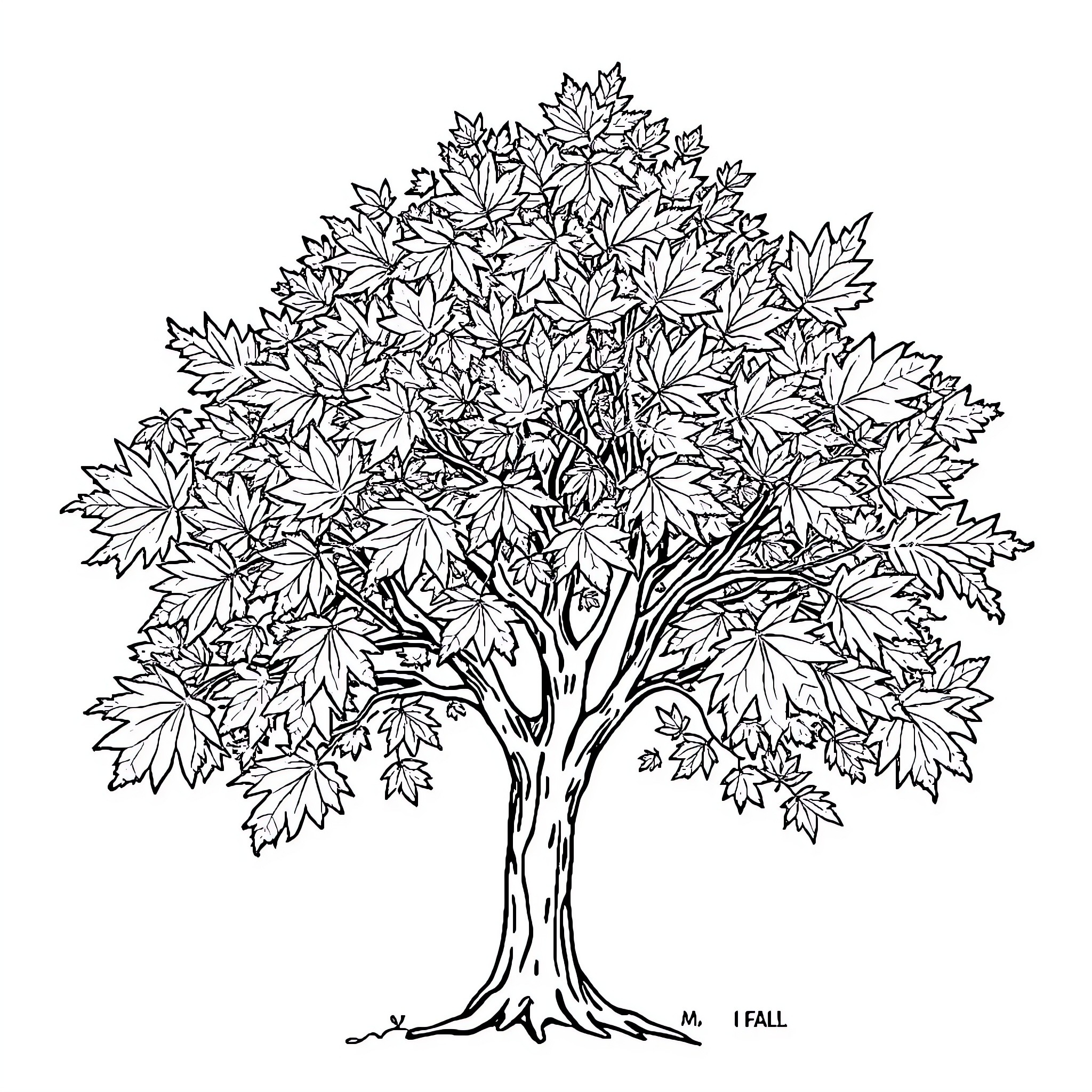 Maple Tree in Autumn Splendor Coloring Page (free black-and-white line drawing printable PDF for all, from beginners to advanced learners, including children, teens, adults, and seniors)
