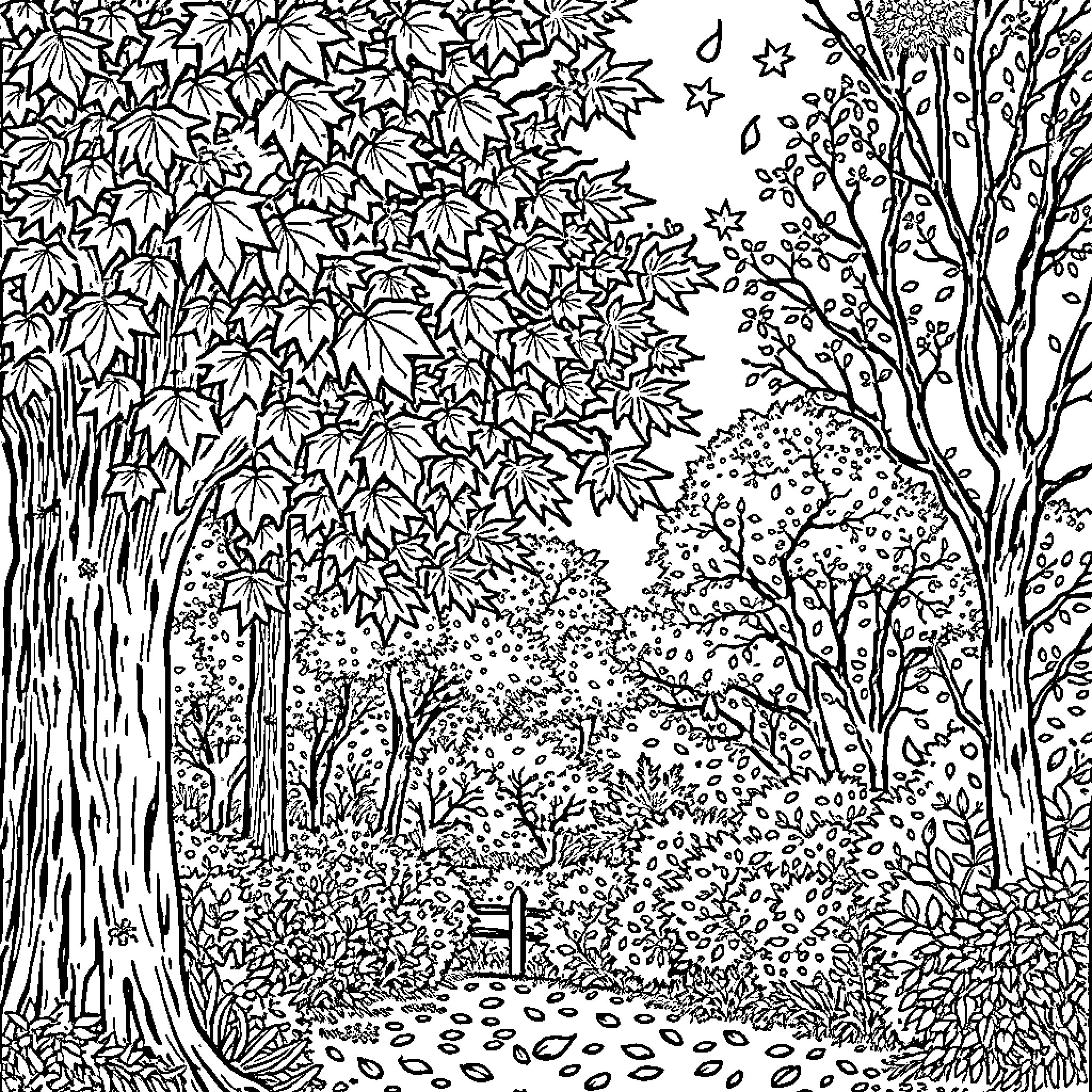Autumn forest path with lush vegetation Coloring Page (free black-and-white line drawing printable PDF for all, from beginners to advanced learners, including children, teens, adults, and seniors)