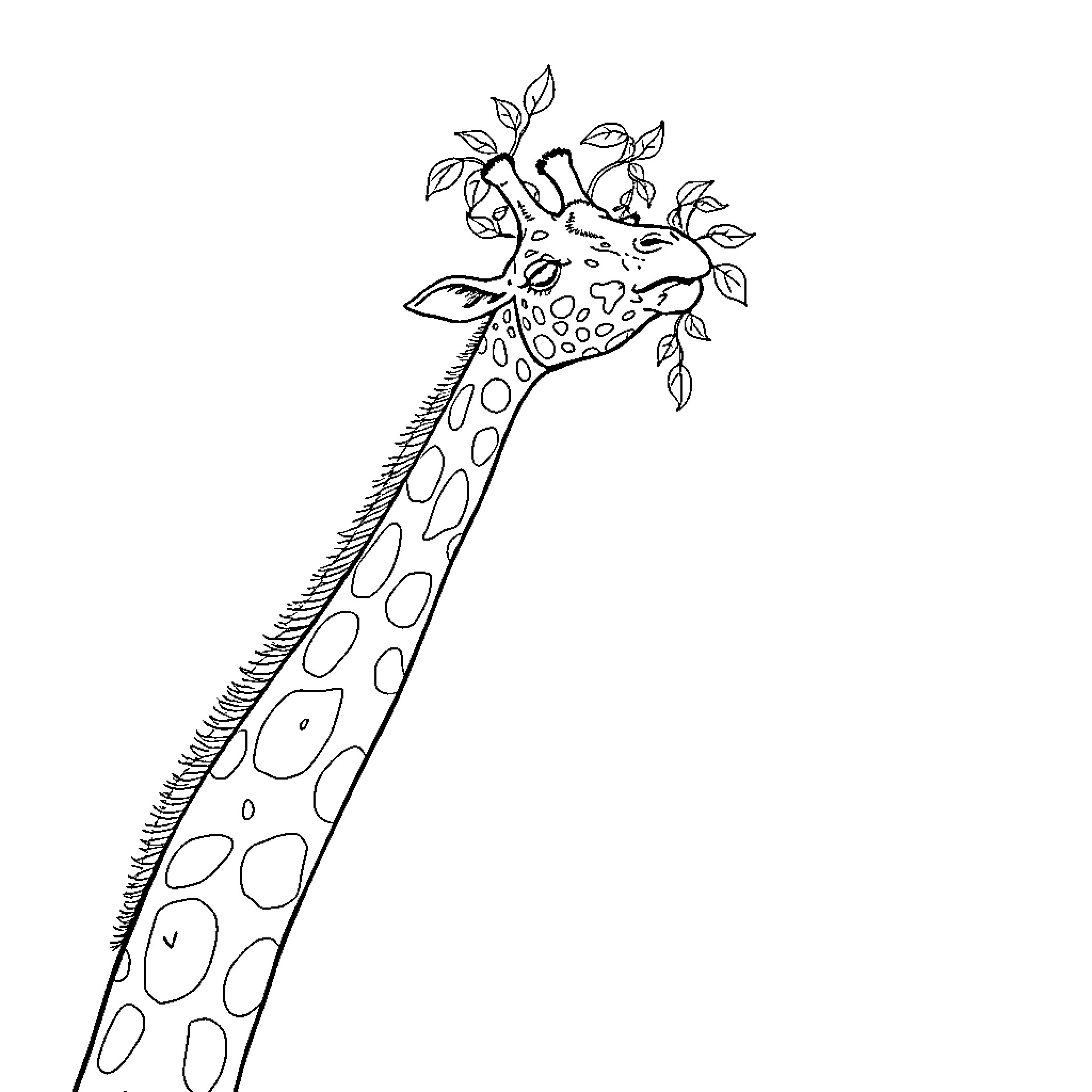 Giraffe reaching for leaves on branch Coloring Page (free black-and-white line drawing printable PDF for all, from beginners to advanced learners, including children, teens, adults, and seniors)