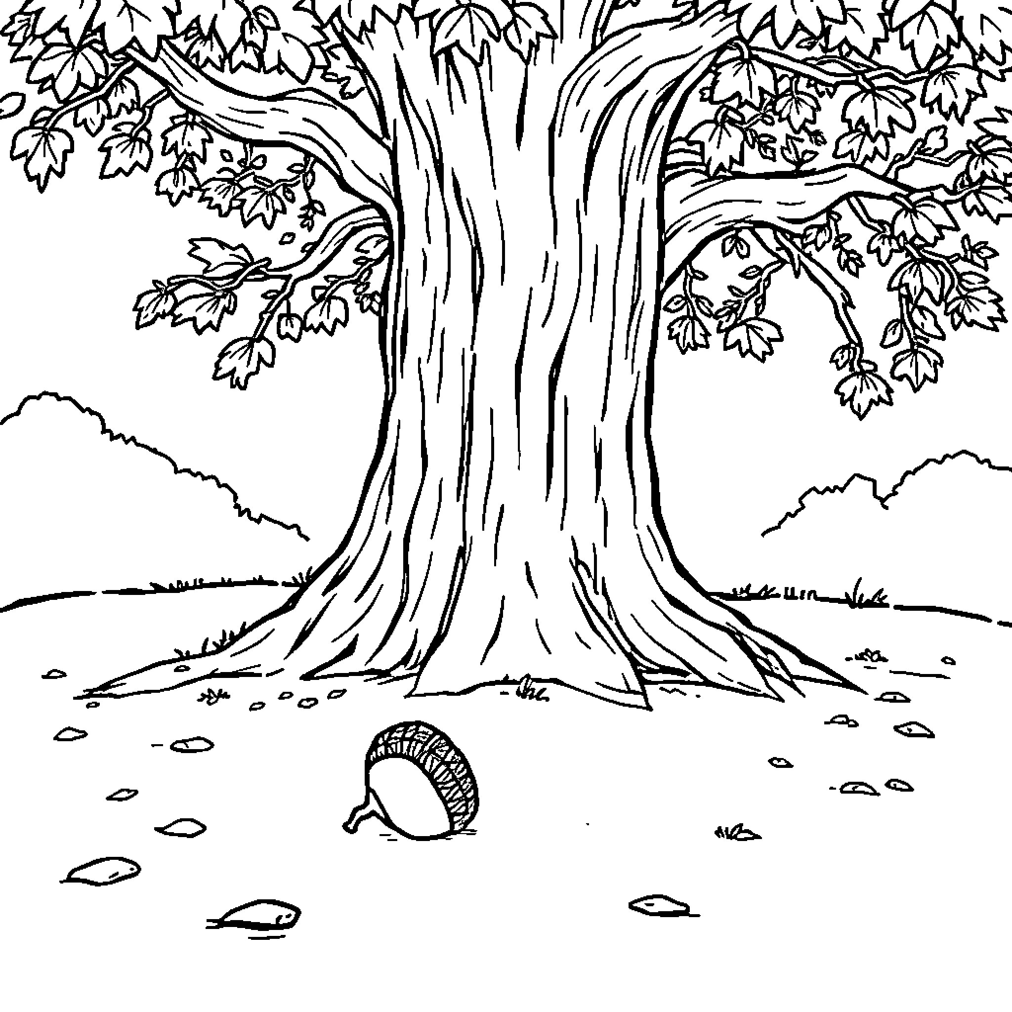 Acorn resting beneath the towering tree Coloring Page (free black-and-white line drawing printable PDF for all, from beginners to advanced learners, including children, teens, adults, and seniors)