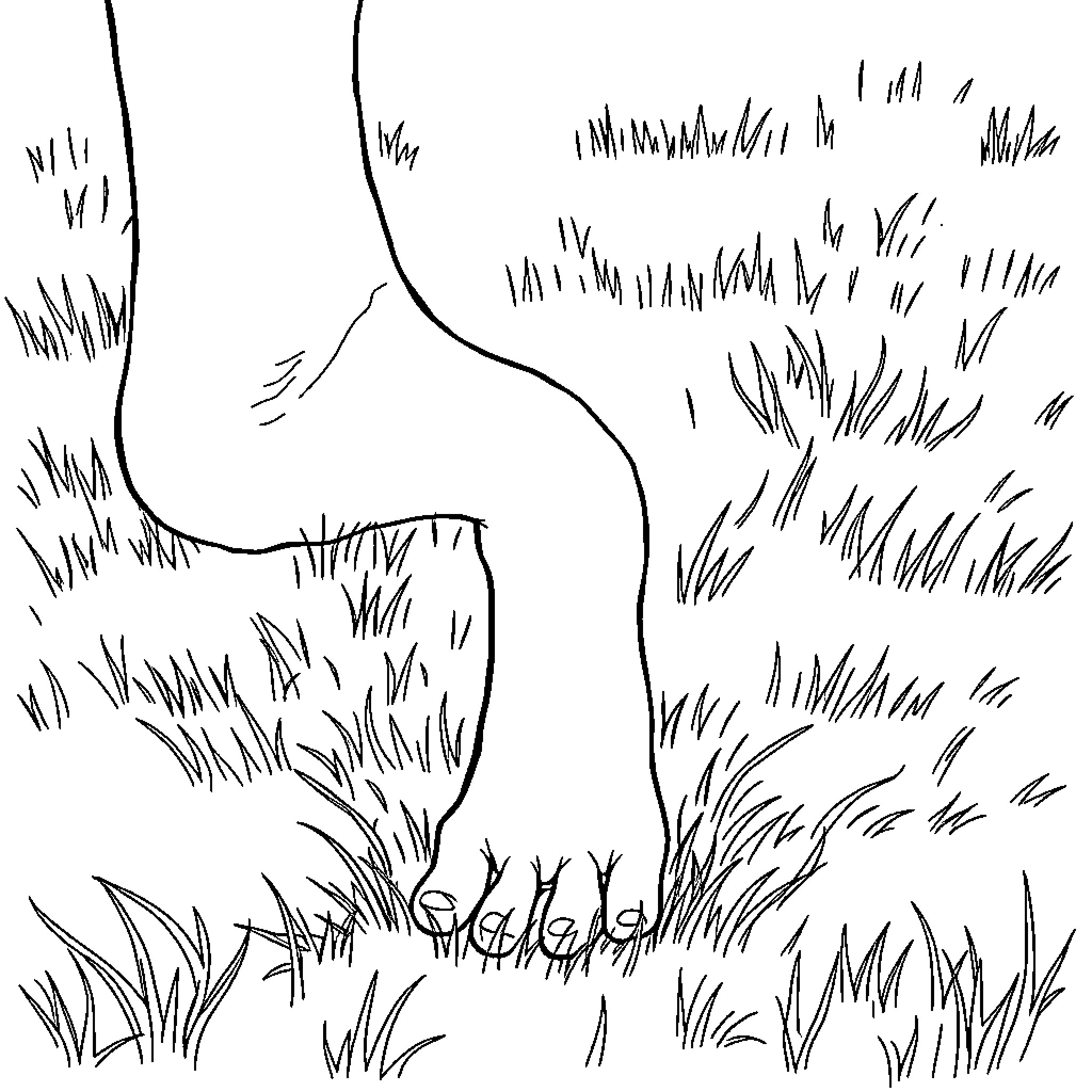 Foot stepping through tall grass Coloring Page (free black-and-white line drawing printable PDF for all, from beginners to advanced learners, including children, teens, adults, and seniors)