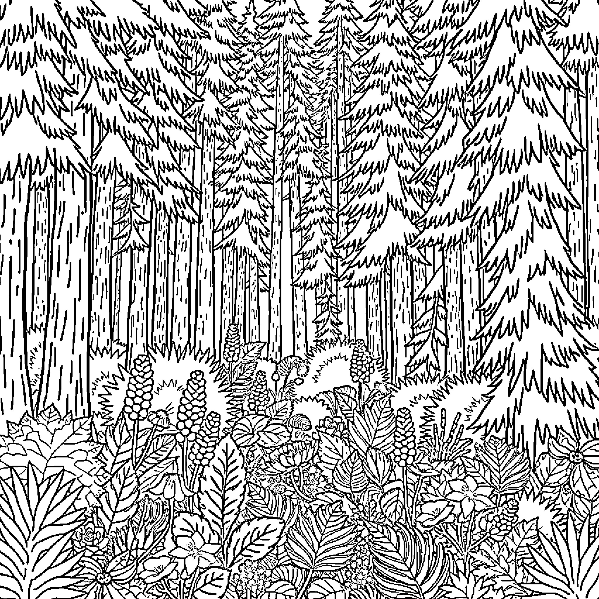 Forest Wilderness with Intricate Foliage Coloring Page (free black-and-white line drawing printable PDF for all, from beginners to advanced learners, including children, teens, adults, and seniors)