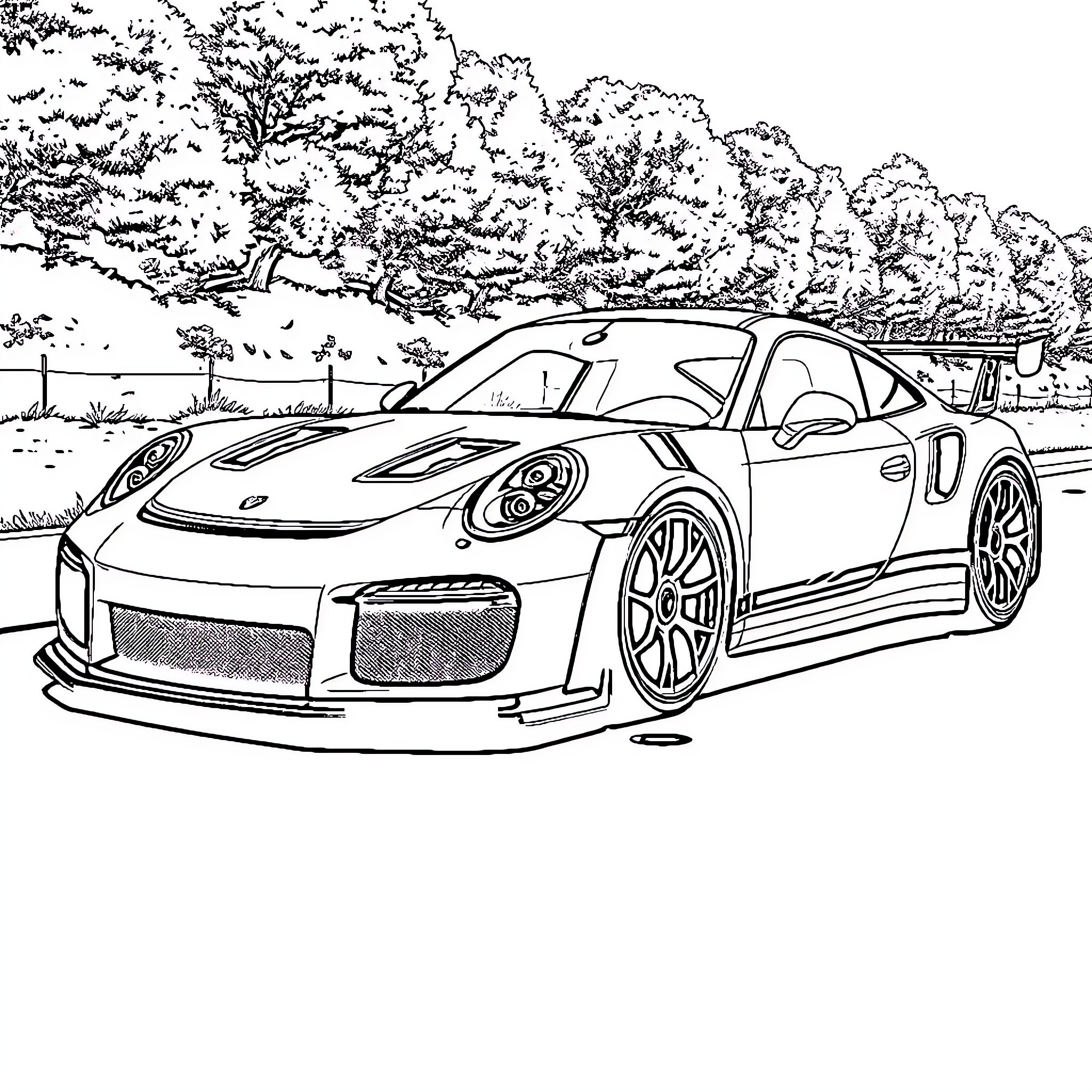 Porsche sports car in a scenic environment Coloring Page (free black-and-white line drawing printable PDF for all, from beginners to advanced learners, including children, teens, adults, and seniors)