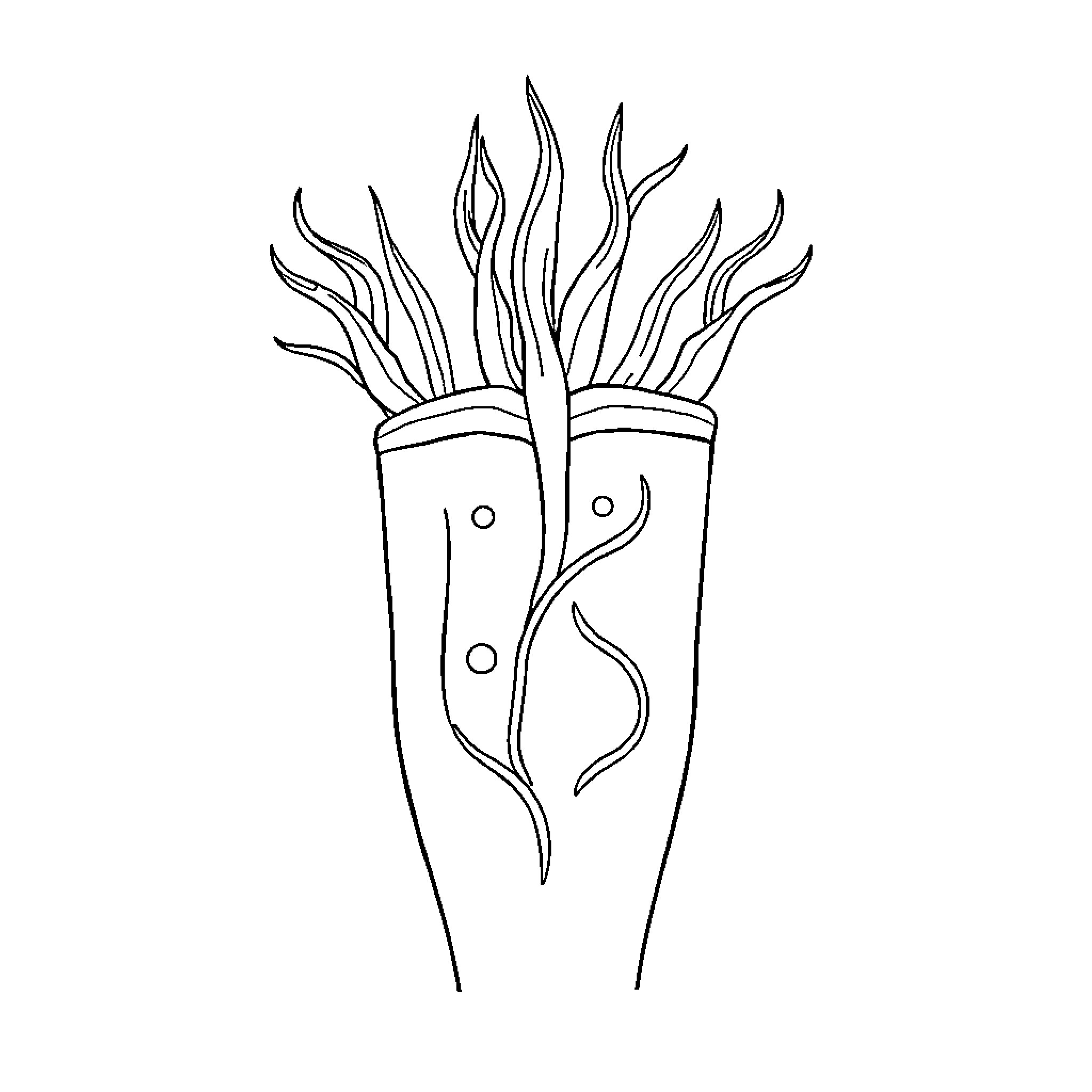 Integumentary System: Stylized Anatomical Illustration Coloring Page (free black-and-white line drawing printable PDF for all, from beginners to advanced learners, including children, teens, adults, and seniors)