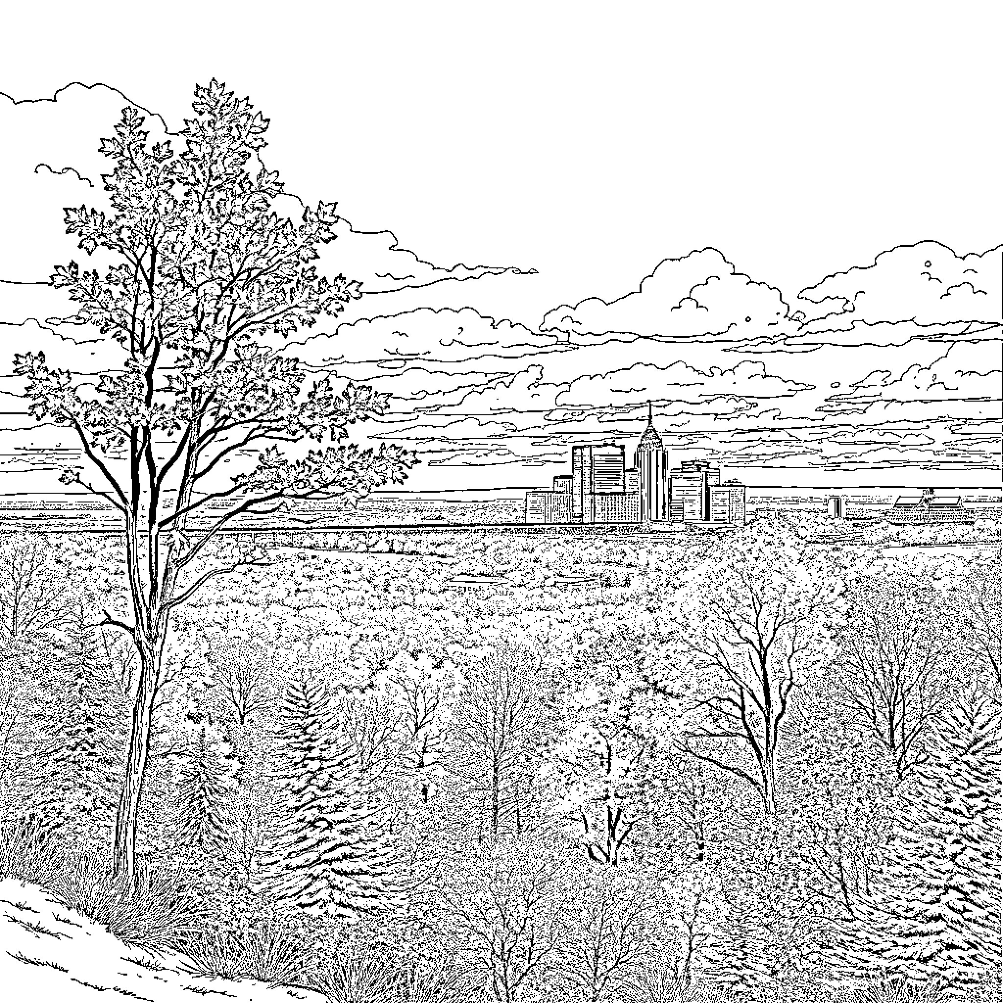 Minnesota Landscape with Cityscape and Wooded Foreground Coloring Page (free black-and-white line drawing printable PDF for all, from beginners to advanced learners, including children, teens, adults, and seniors)
