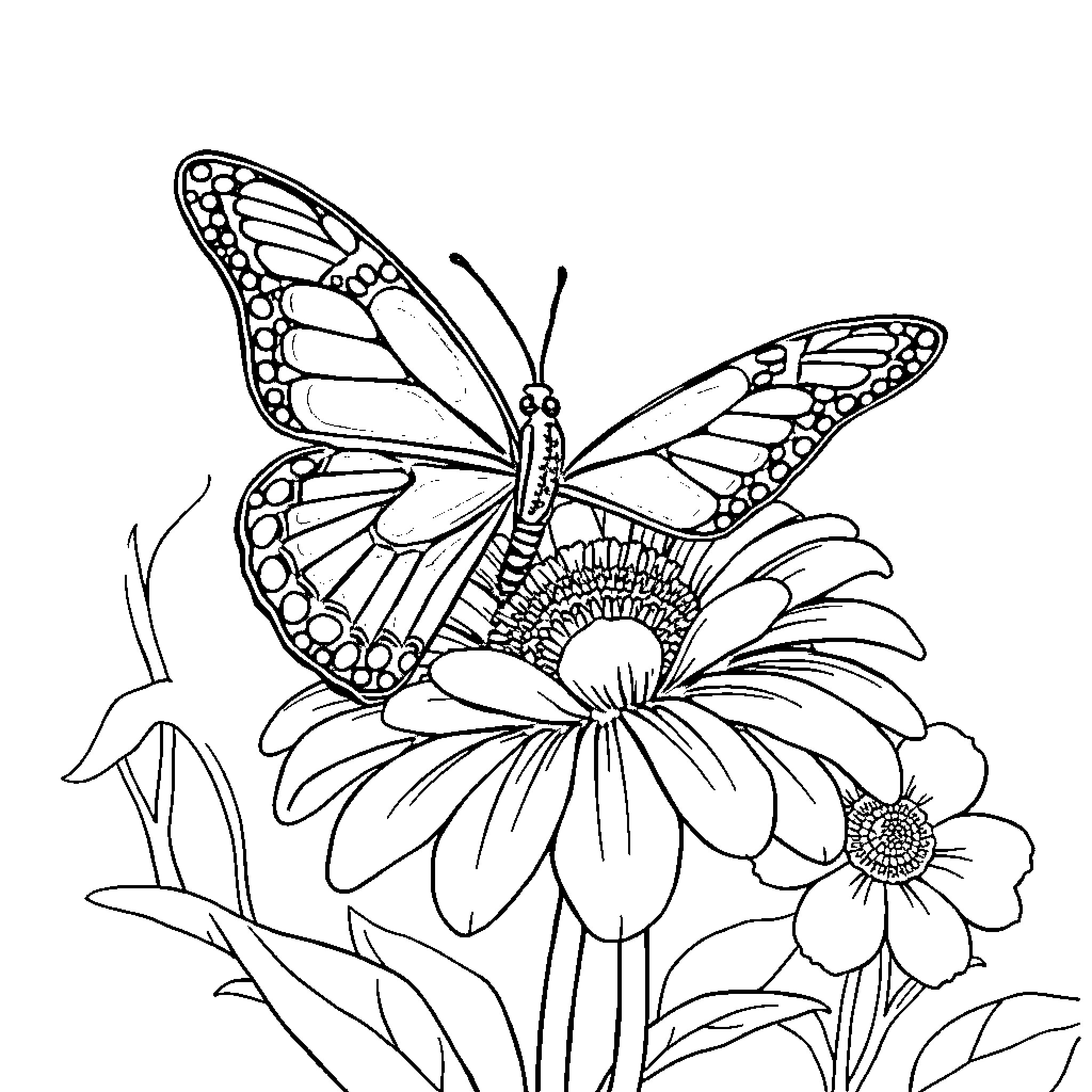 Butterfly resting peacefully on a flower Coloring Page (free black-and-white line drawing printable PDF for all, from beginners to advanced learners, including children, teens, adults, and seniors)