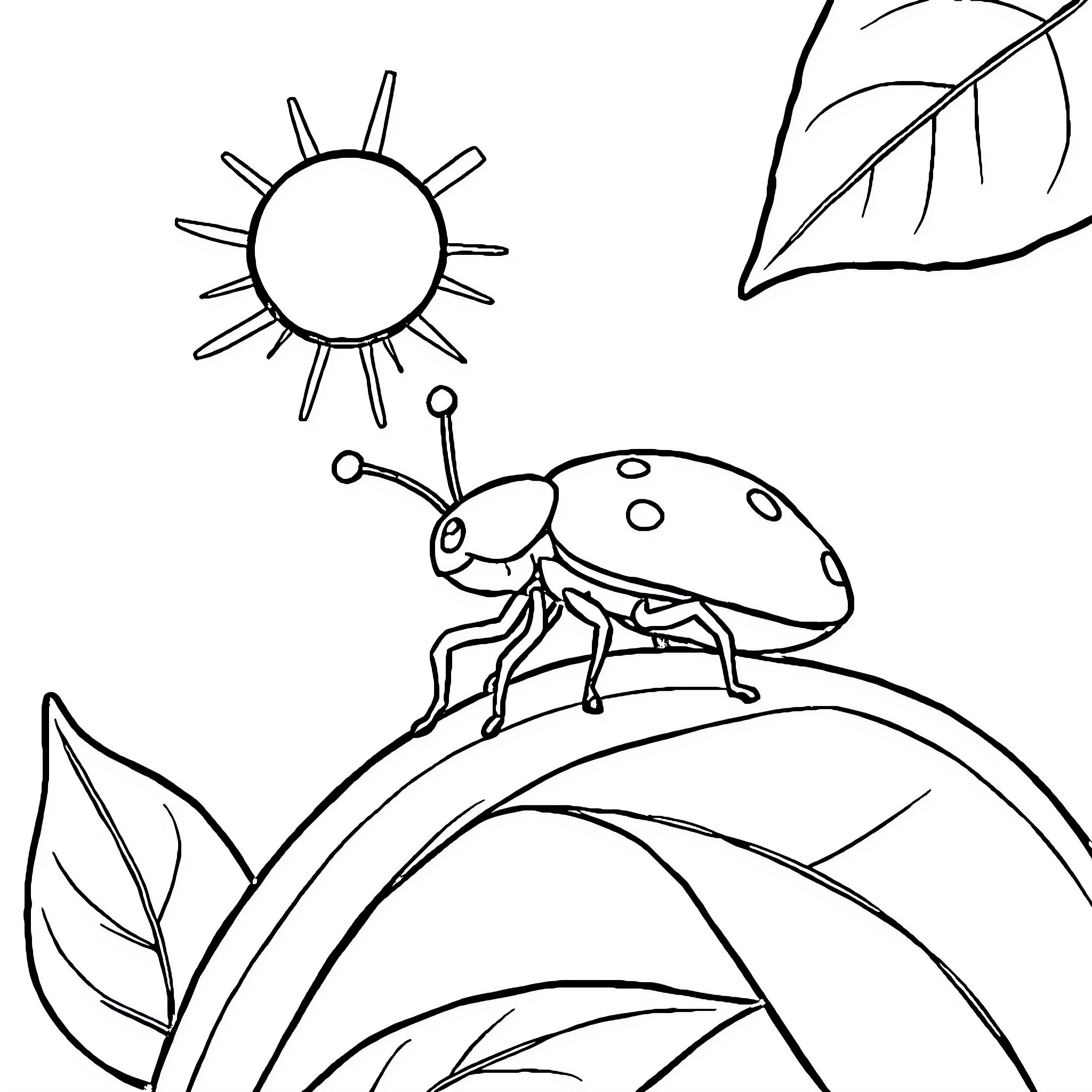 Bug exploring nature under the sun Coloring Page (free black-and-white line drawing printable PDF for all, from beginners to advanced learners, including children, teens, adults, and seniors)