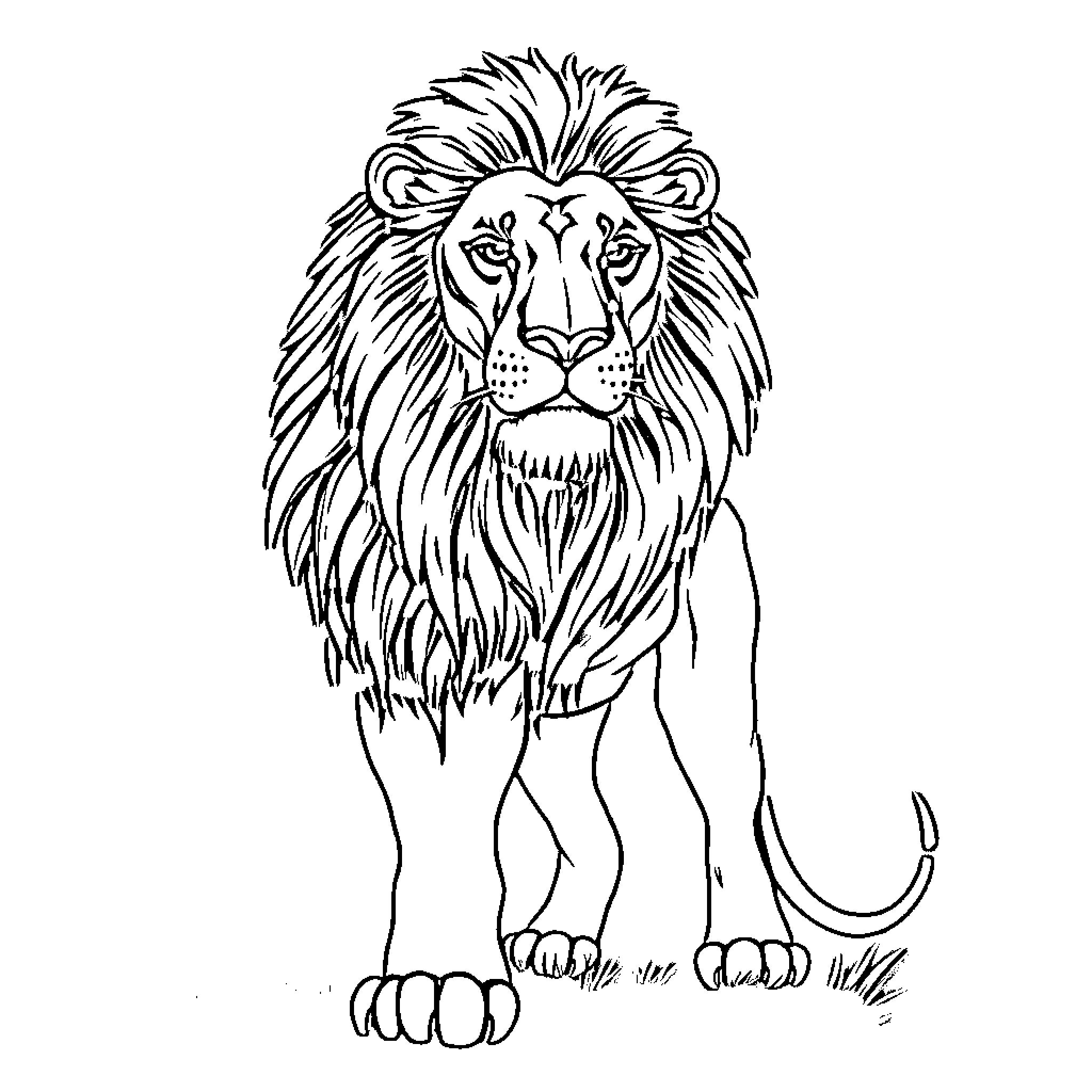 Lion with fierce expression and flowing mane Coloring Page (free black-and-white line drawing printable PDF for all, from beginners to advanced learners, including children, teens, adults, and seniors)