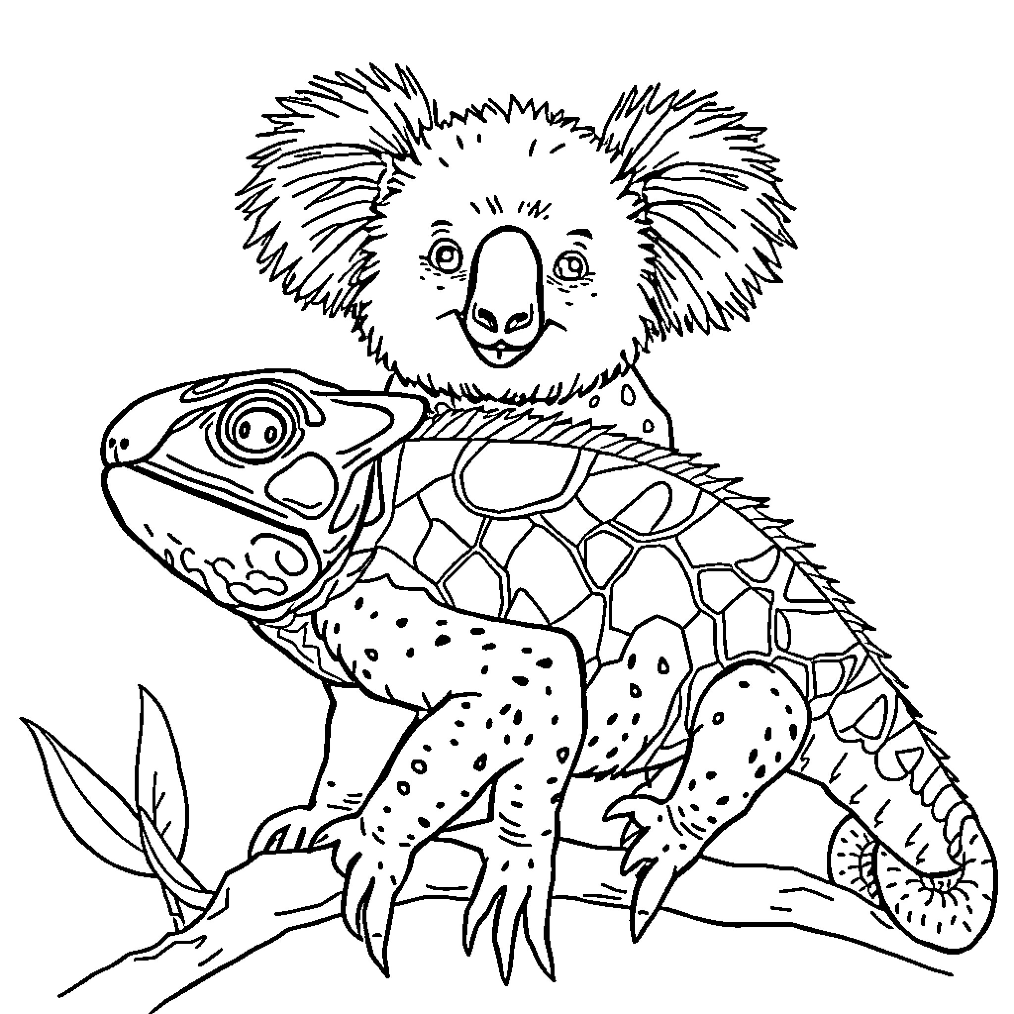 Koala hugging a colorful lizard Coloring Page (free black-and-white line drawing printable PDF for all, from beginners to advanced learners, including children, teens, adults, and seniors)