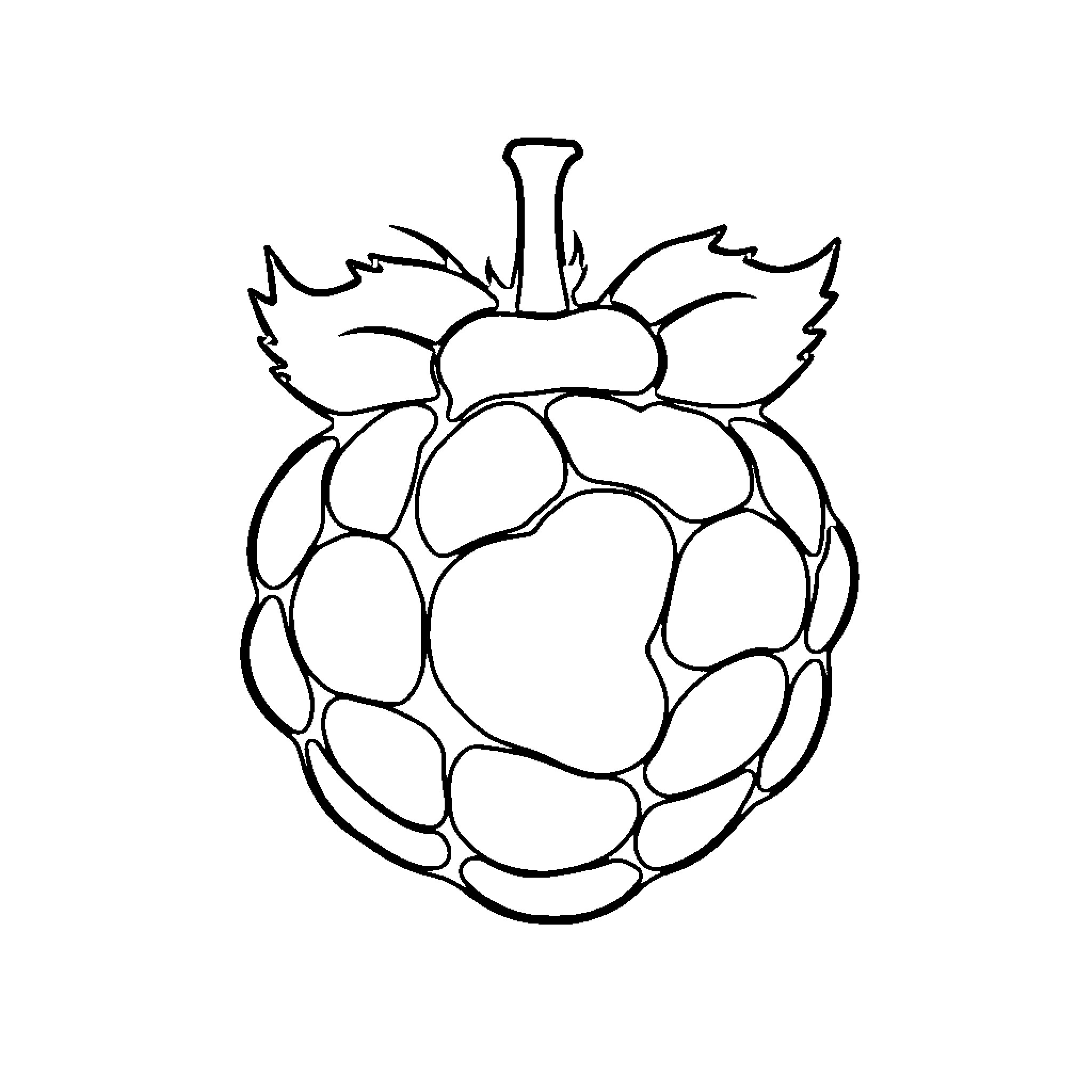 Raspberry Fruit Outline Illustration Coloring Page (free black-and-white line drawing printable PDF for all, from beginners to advanced learners, including children, teens, adults, and seniors)