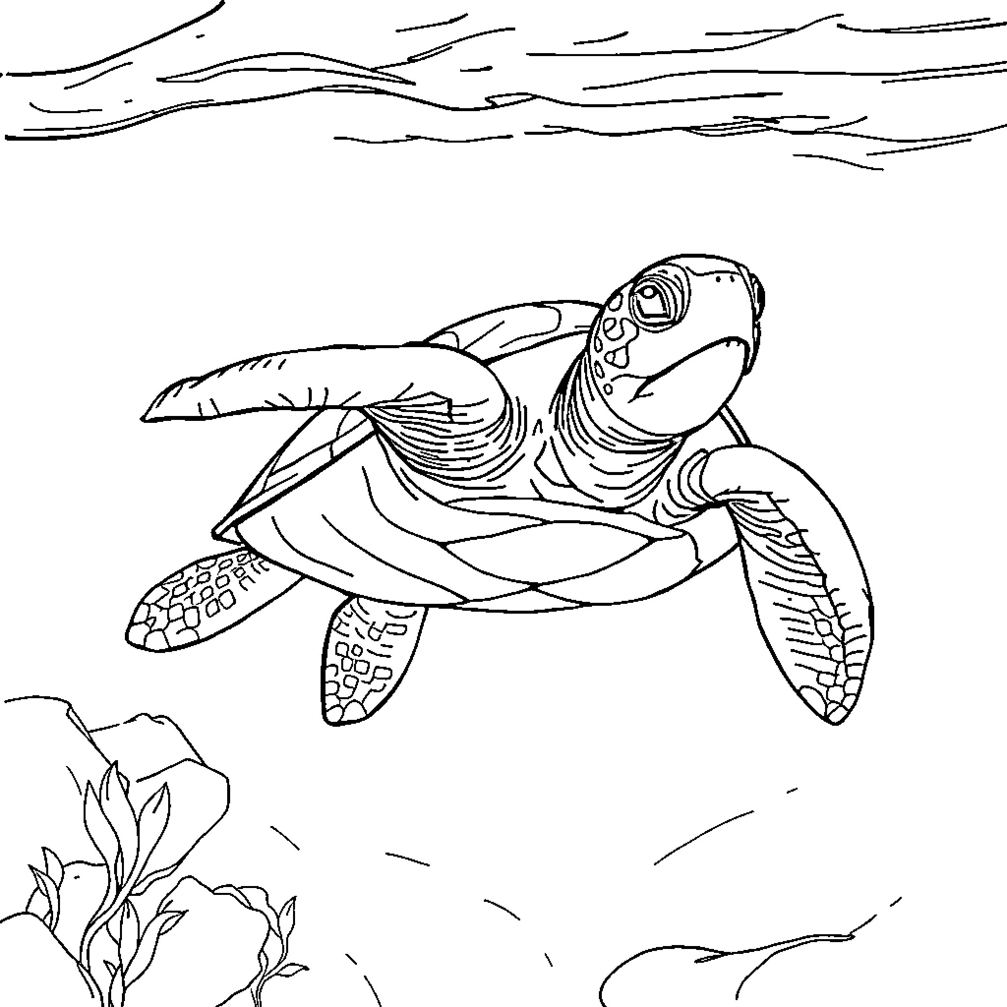 Sea Turtle swimming gracefully in the ocean Coloring Page (free black-and-white line drawing printable PDF for all, from beginners to advanced learners, including children, teens, adults, and seniors)